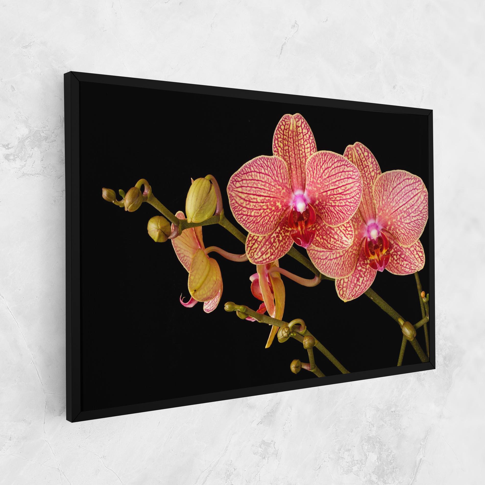Картина на платно Pink Orchids On Black mockup 1