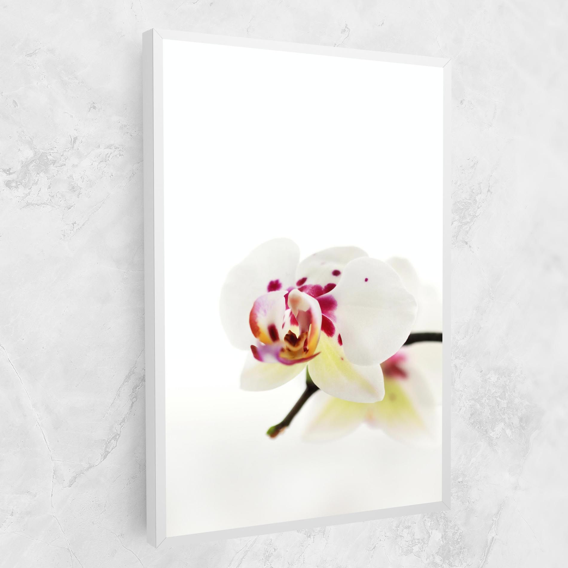 Clean White Orchid mockup 1