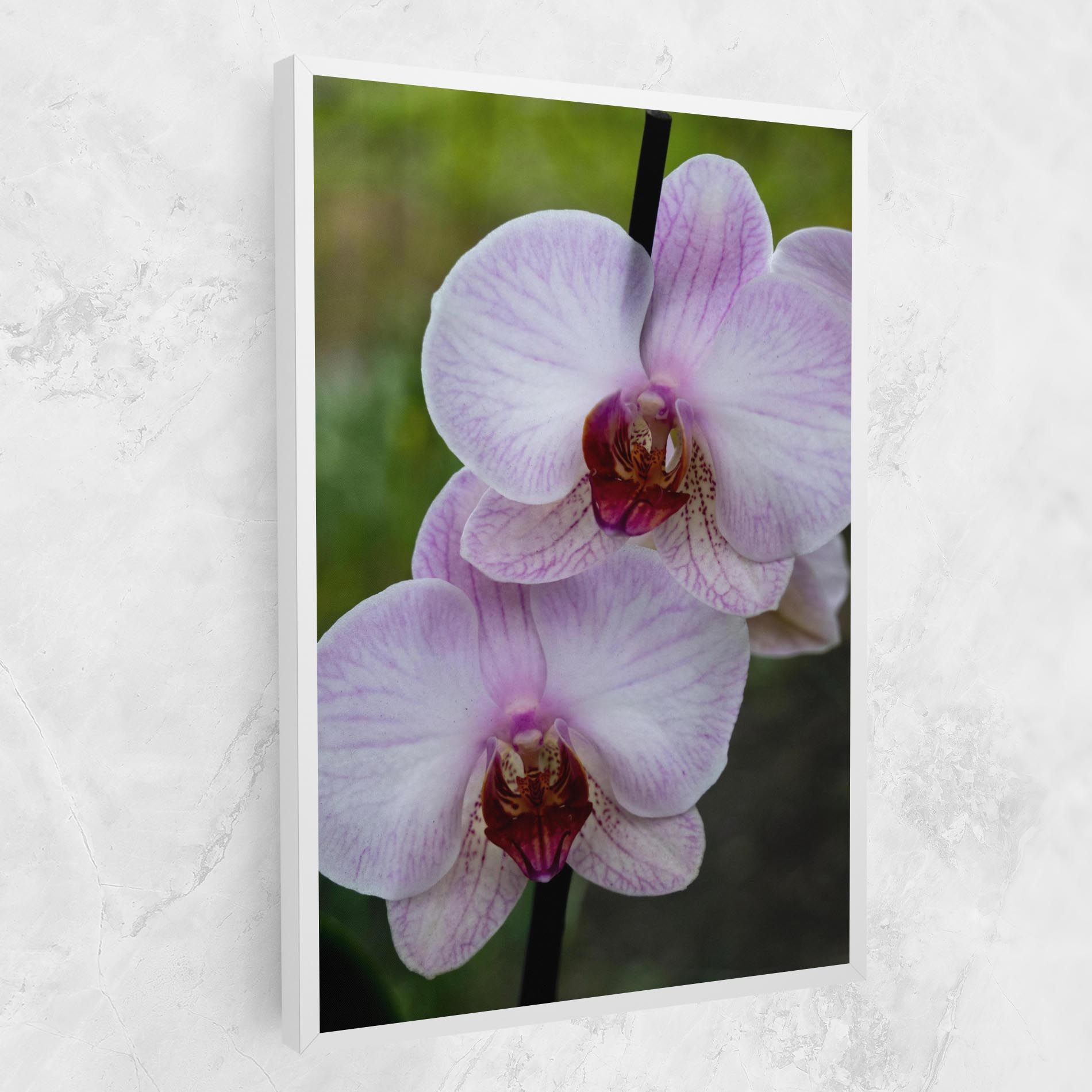 Garden Light Purple Orchid mockup 1