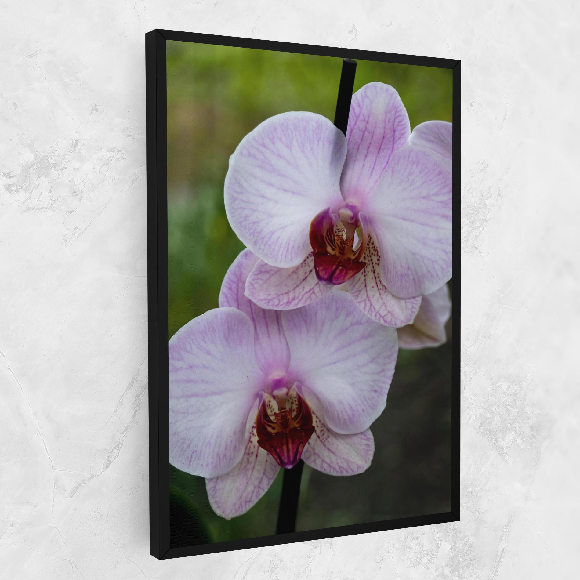 Картина на платно Garden Light Purple Orchid mockup 1