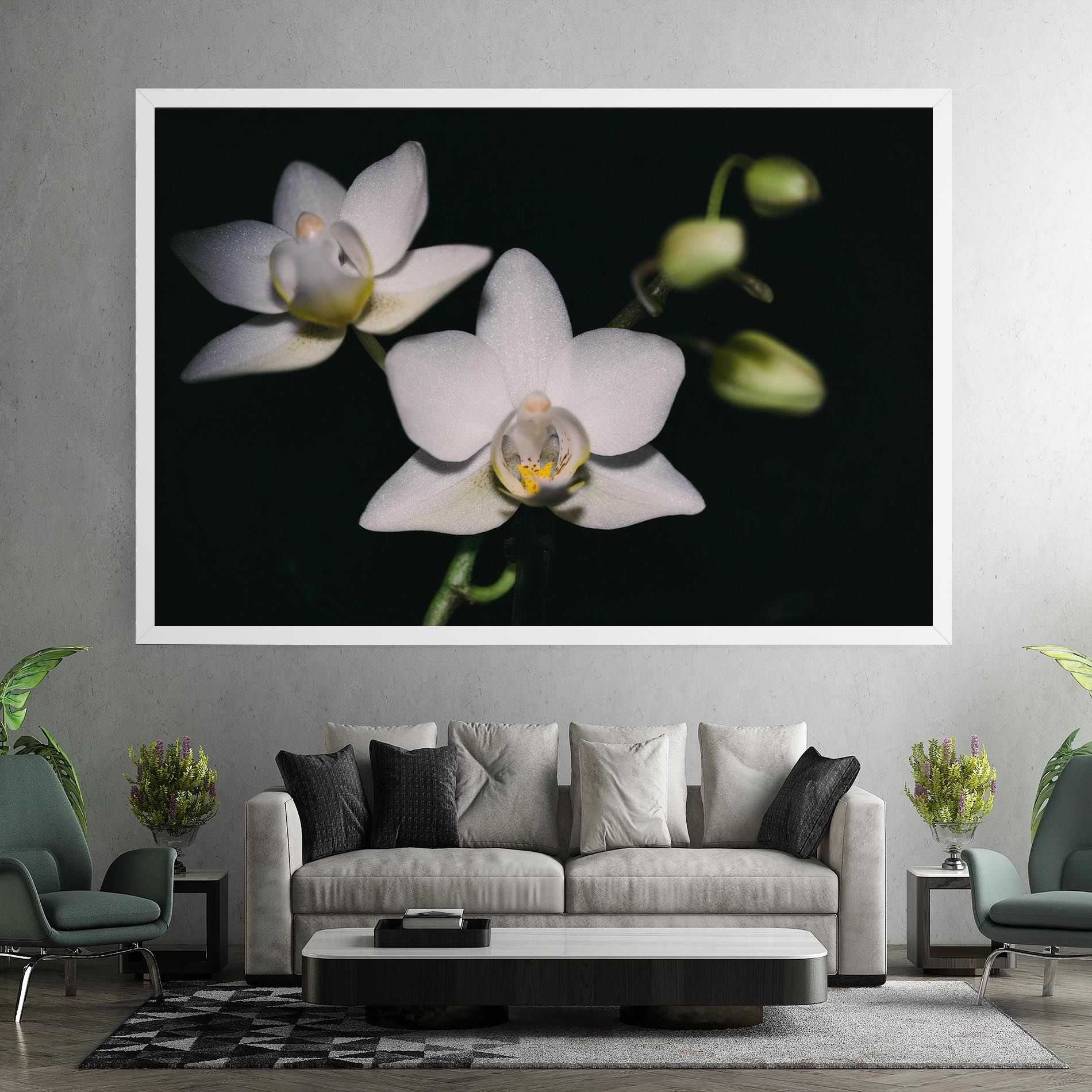 Orchids On Black mockup 7