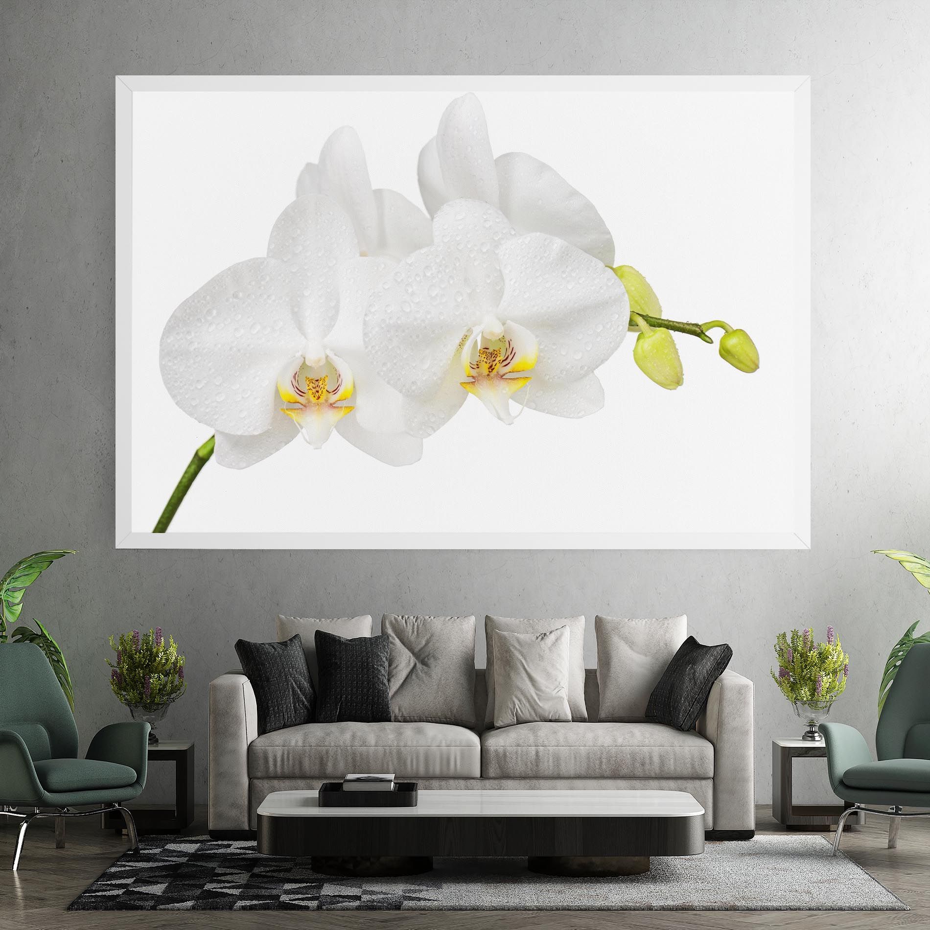Orchids On White mockup 7