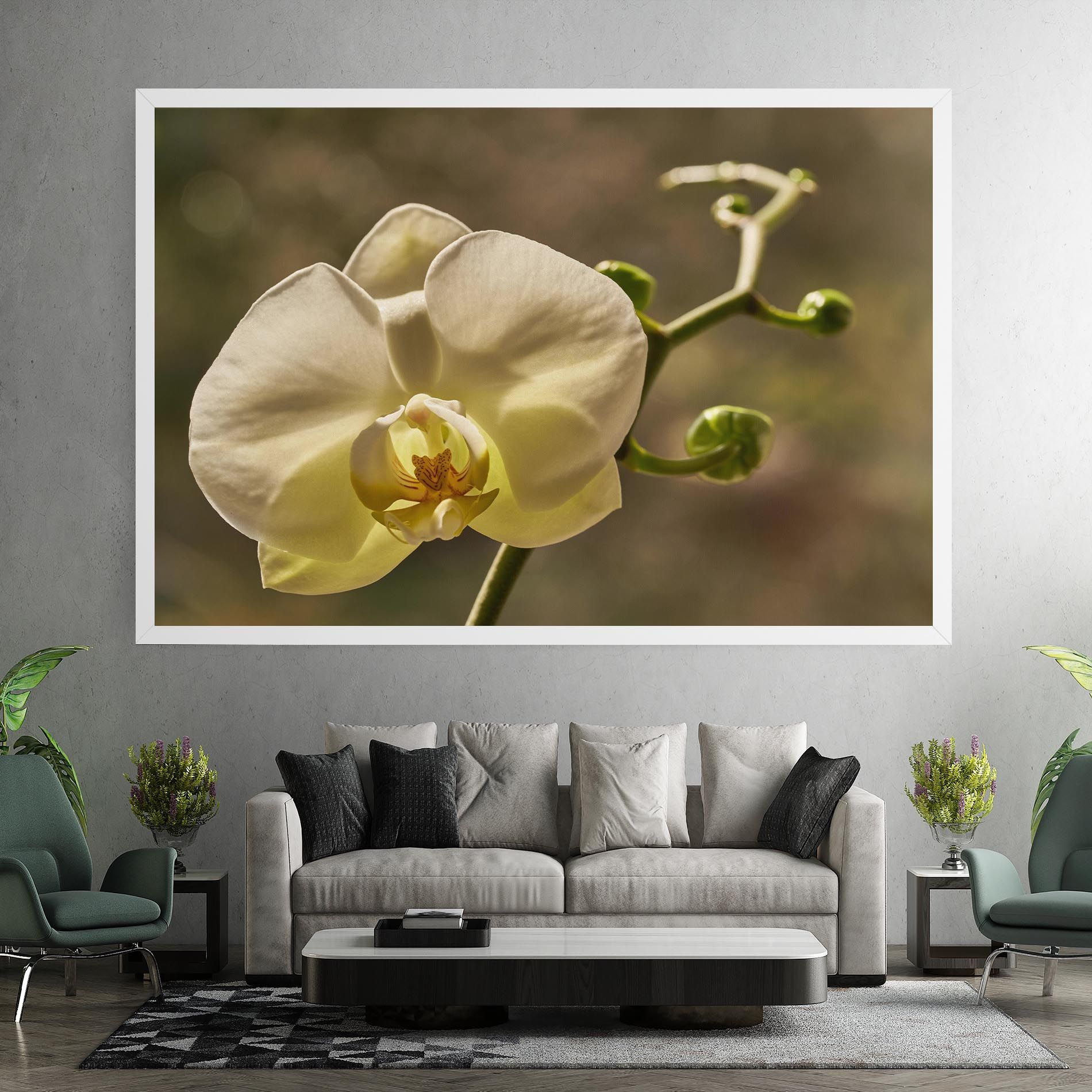 Pastel Yellow Orchid In Garden mockup 7