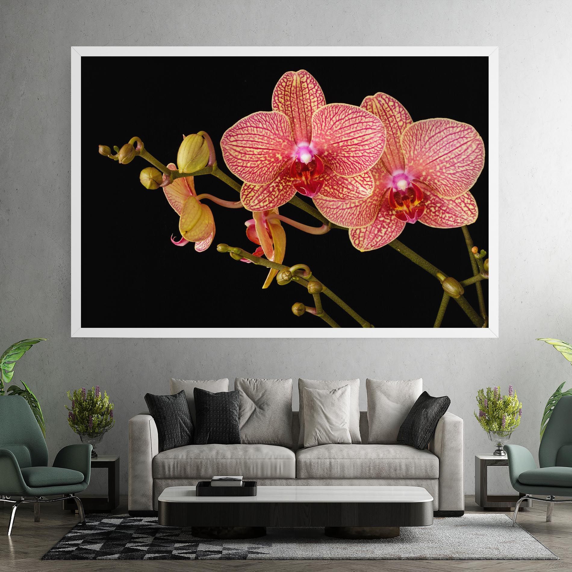 Pink Orchids On Black mockup 7