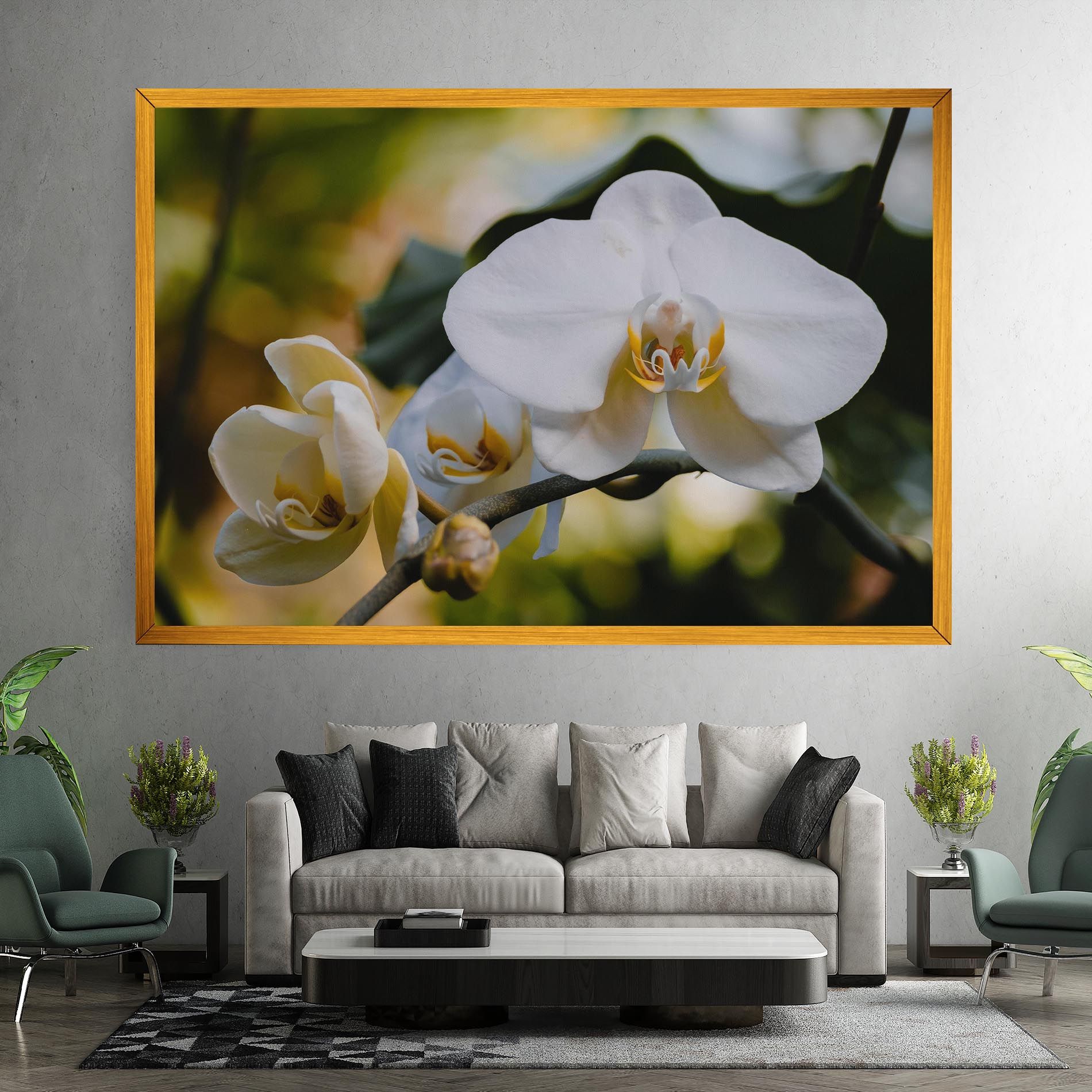 Cream Orchid In Nature mockup 7