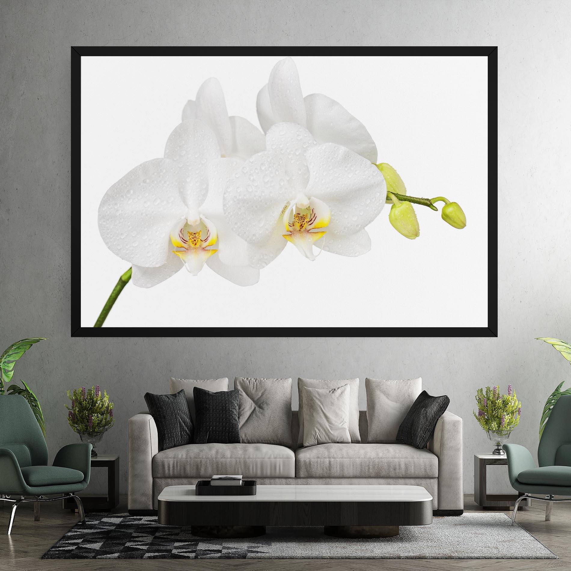 Картина на платно Orchids On White mockup 7