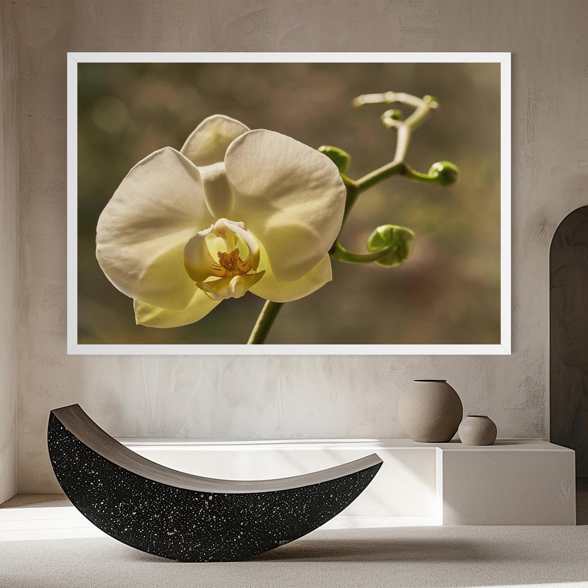 Pastel Yellow Orchid In Garden mockup 8