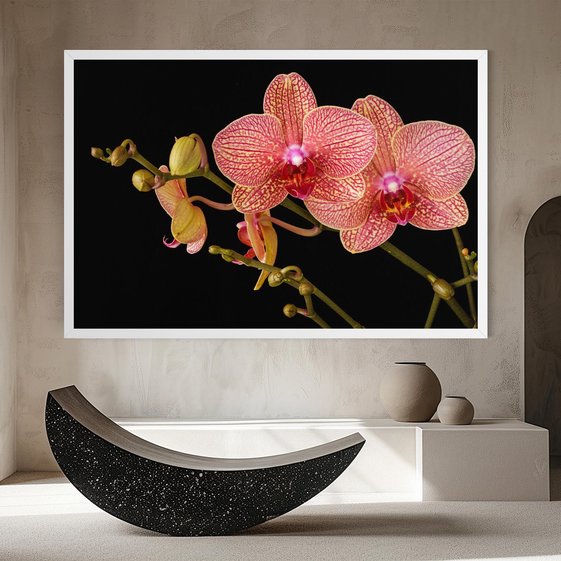 Pink Orchids On Black mockup 8