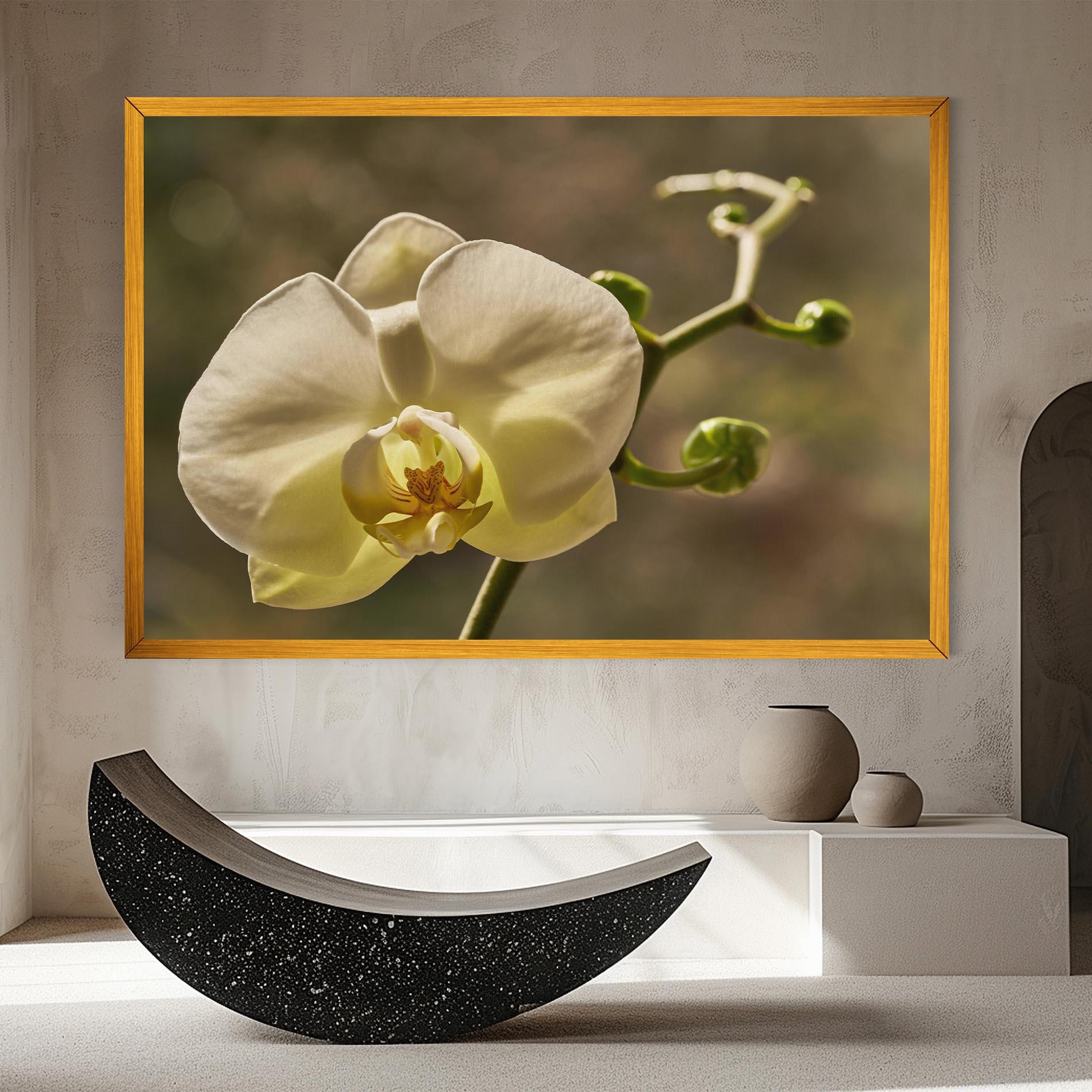 Картина на платно Pastel Yellow Orchid In Garden mockup 8