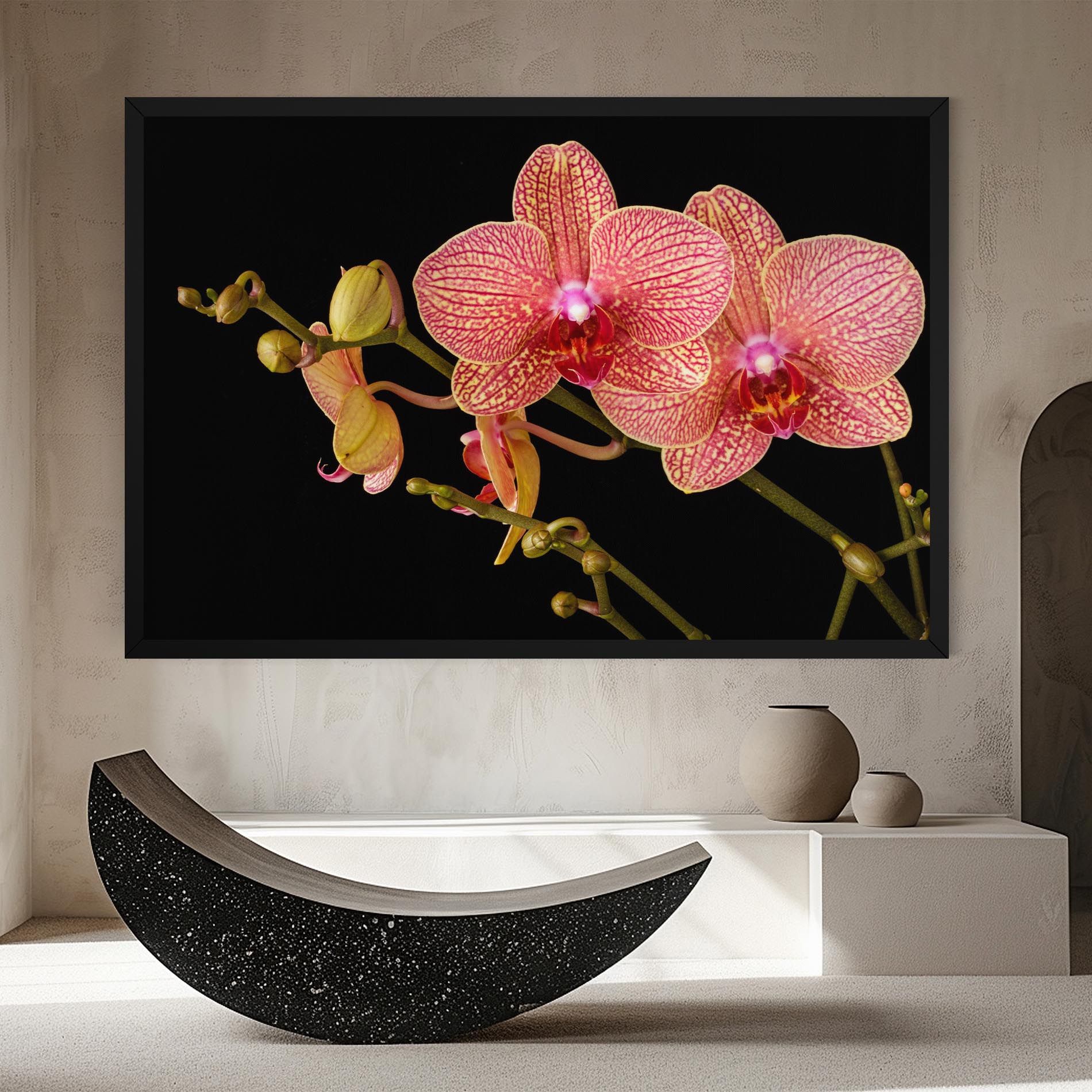 Pink Orchids On Black mockup 8