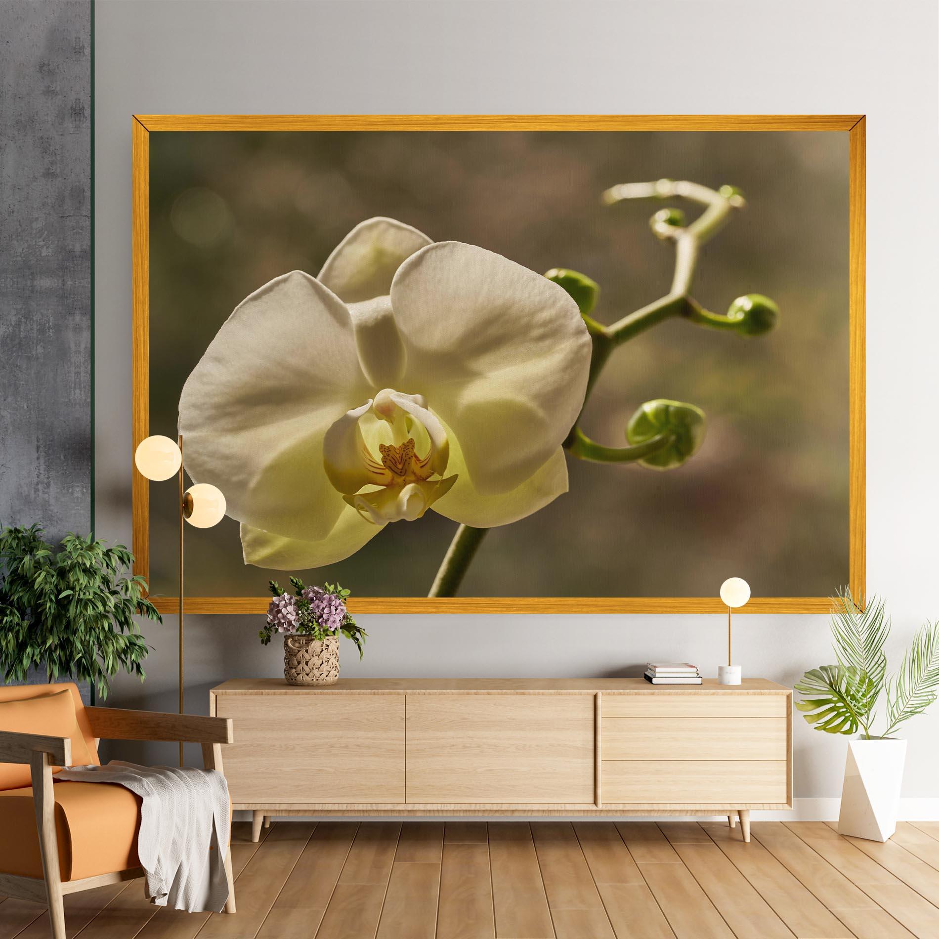 Картина на платно Pastel Yellow Orchid In Garden mockup 9