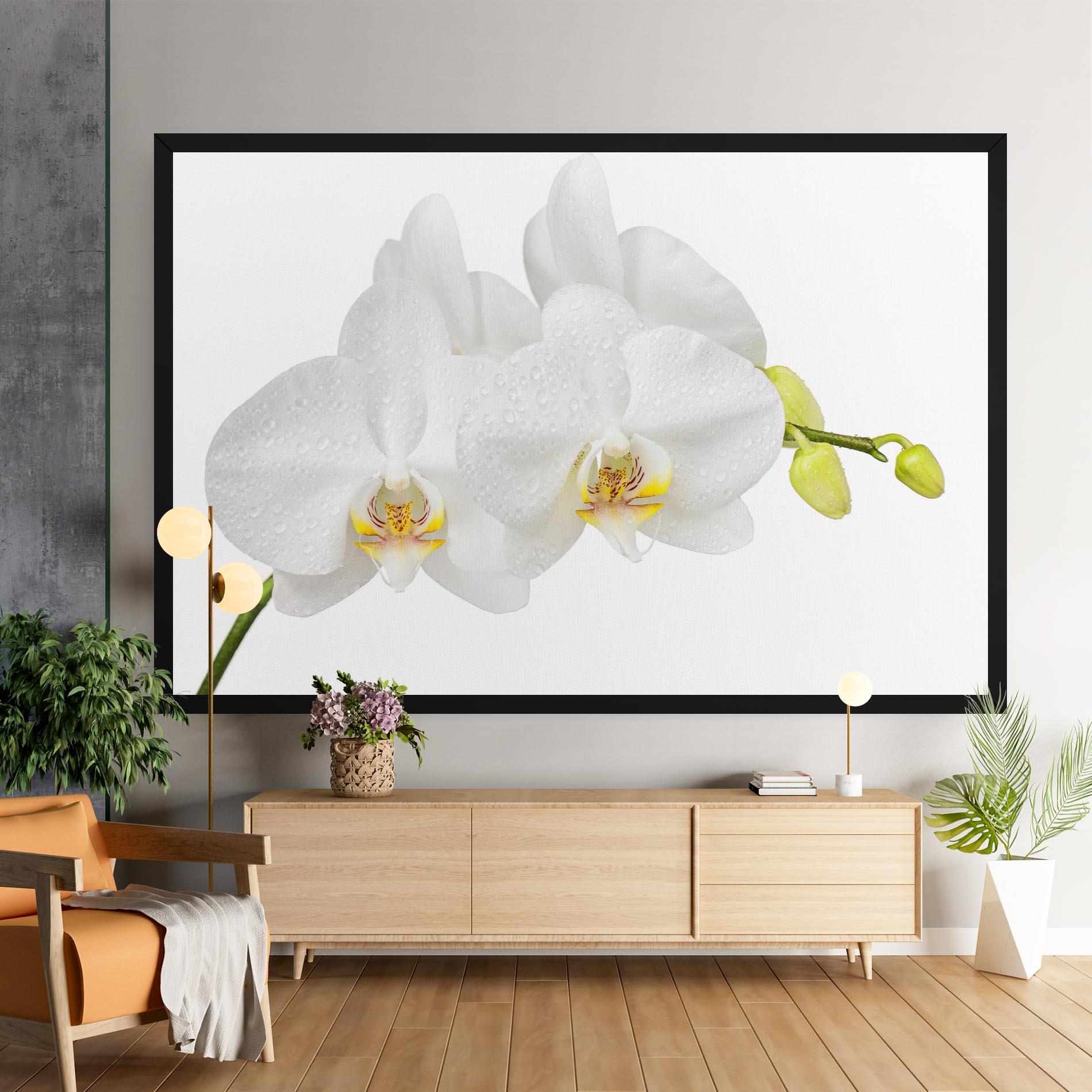 Картина на платно Orchids On White mockup 9