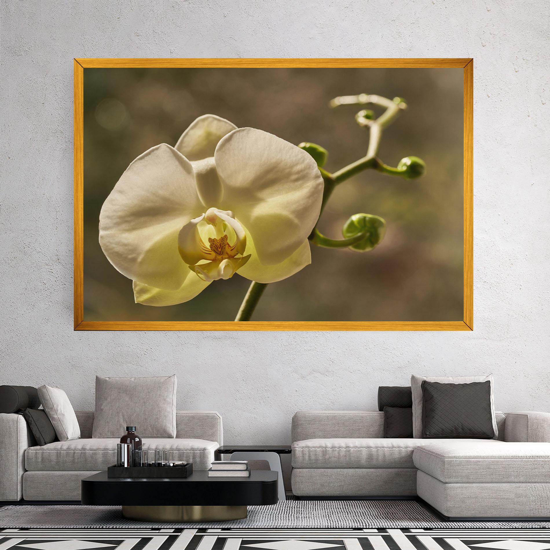 Картина на платно Pastel Yellow Orchid In Garden mockup 2