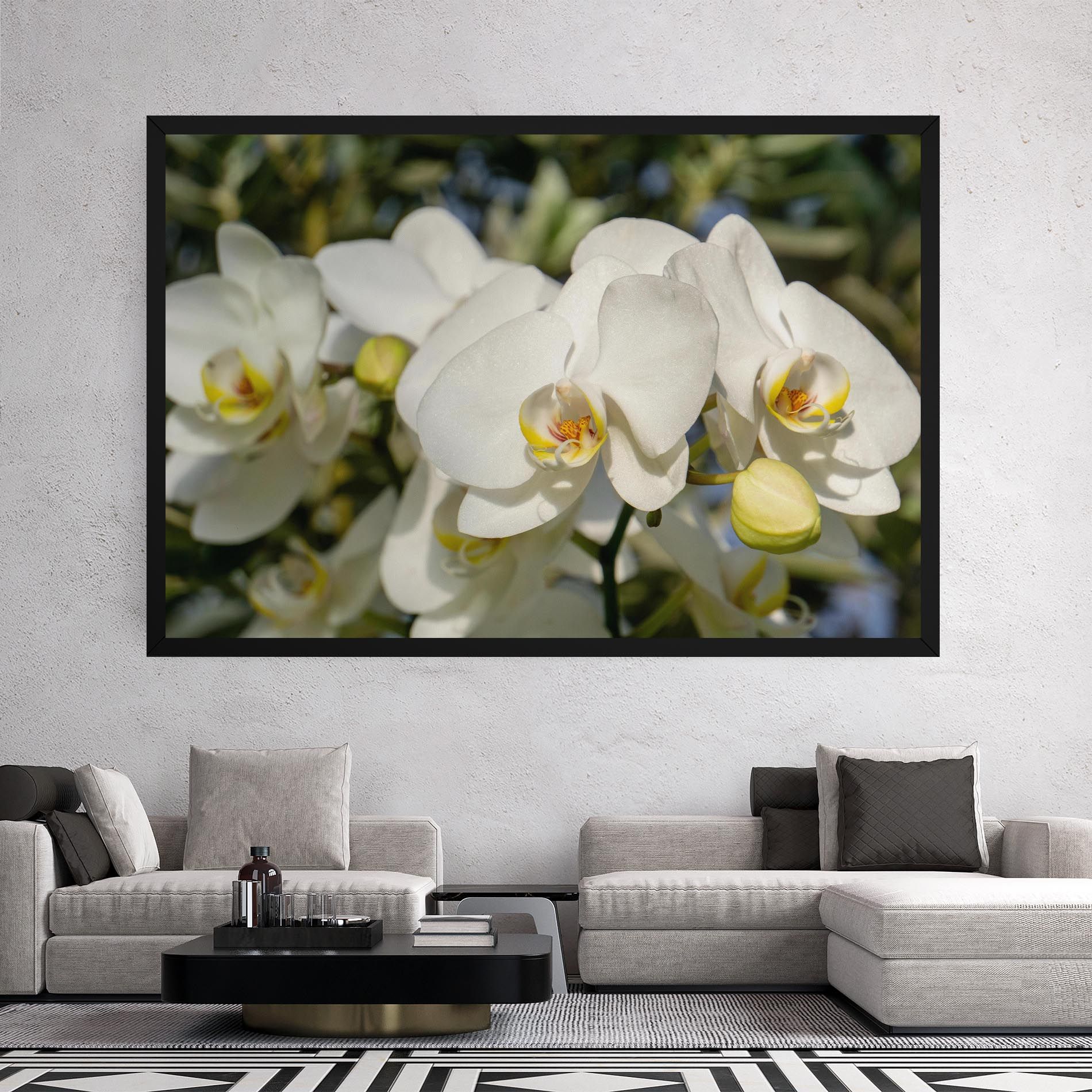 Big Orchids In Nature mockup 2