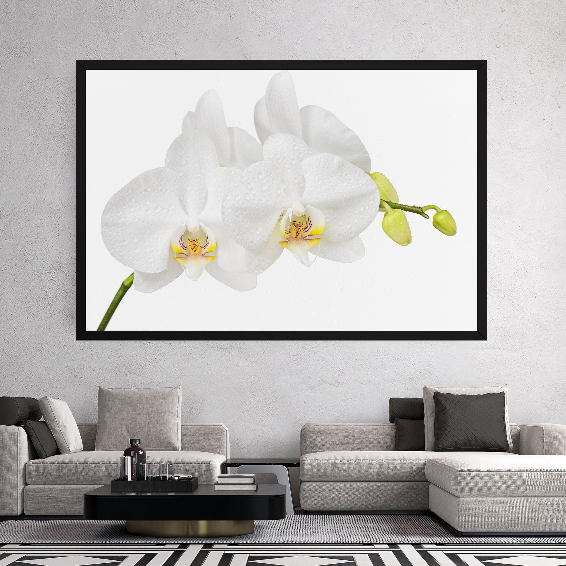 Картина на платно Orchids On White mockup 2