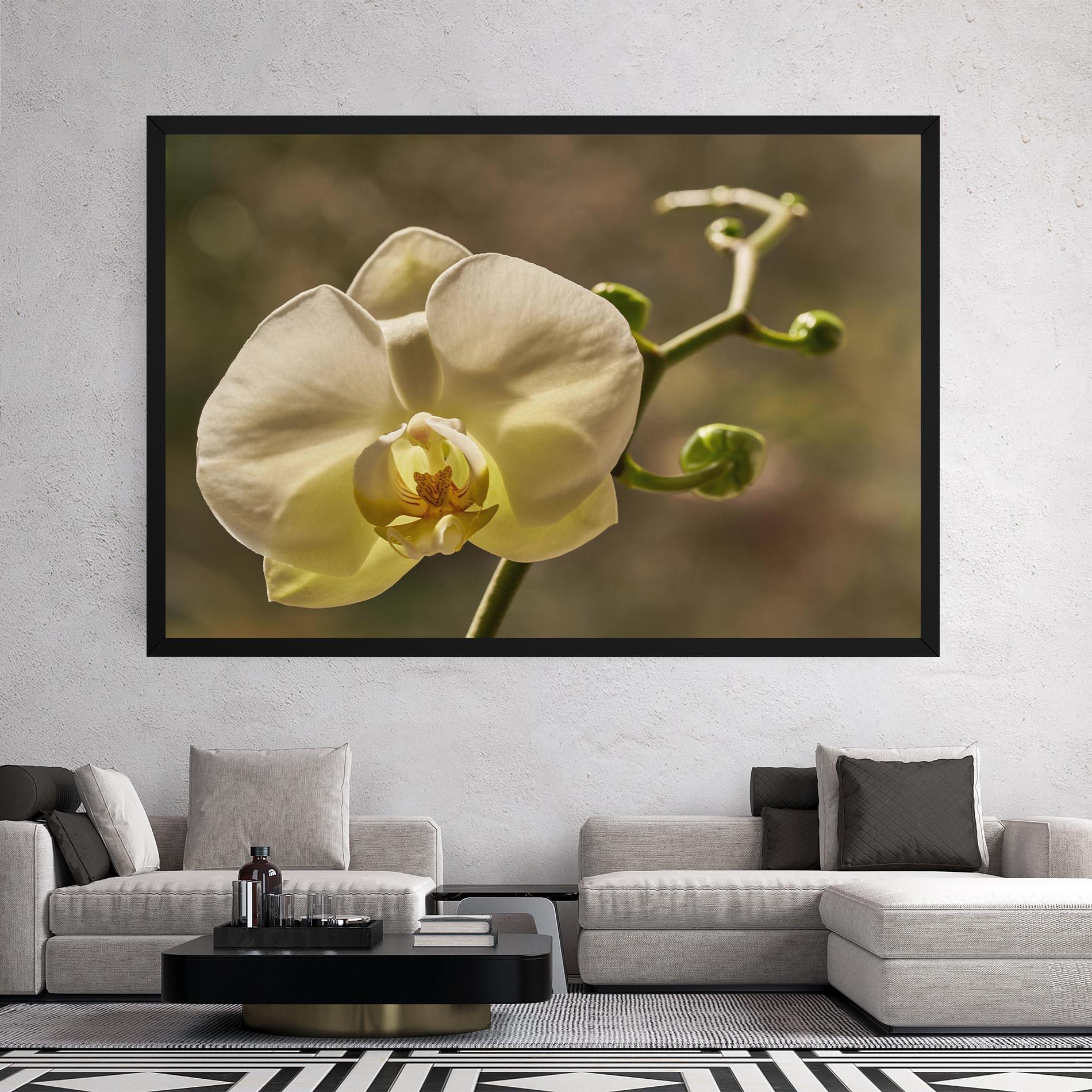 Картина на платно Pastel Yellow Orchid In Garden mockup 2