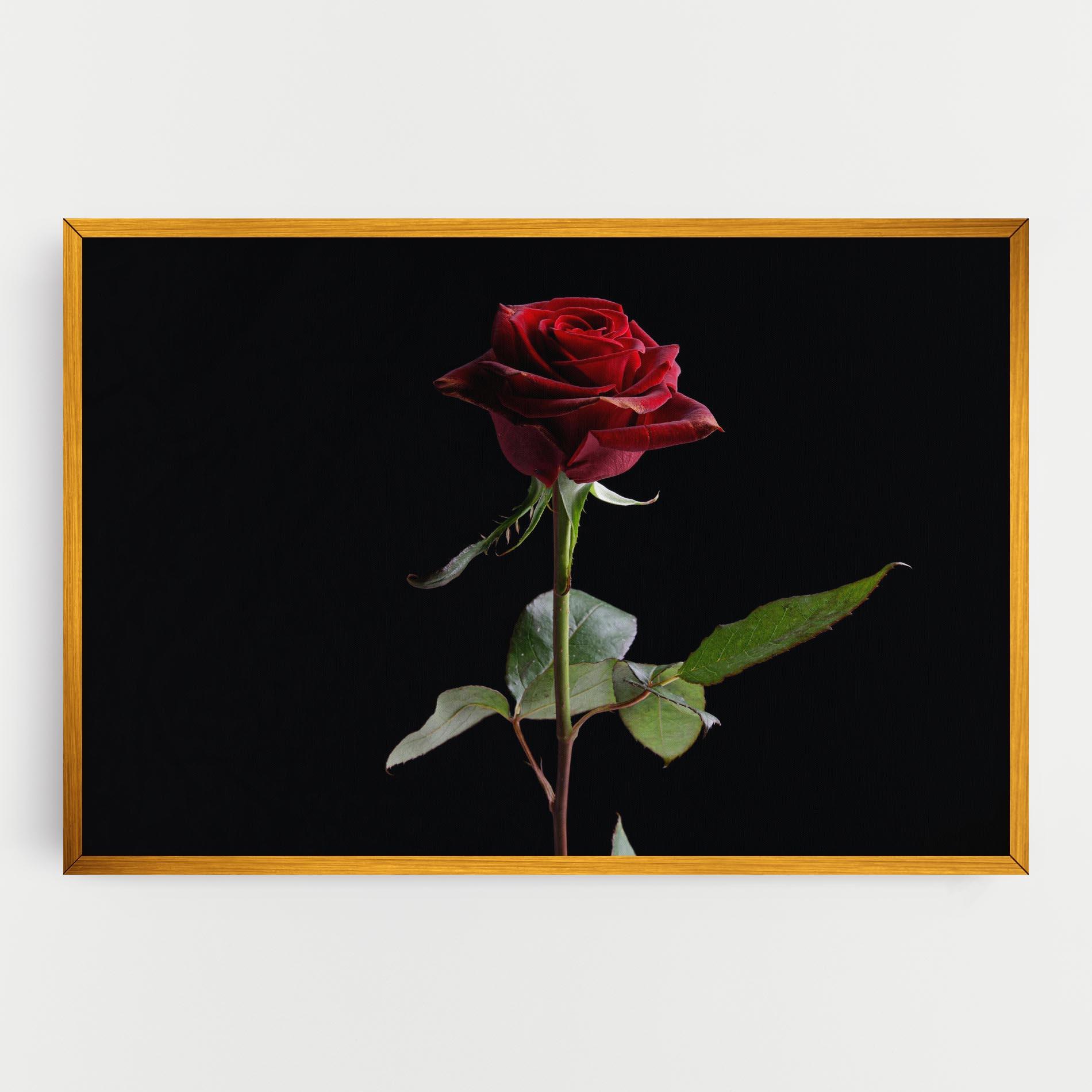 Картина на платно Beautiful Red Rose mockup 0