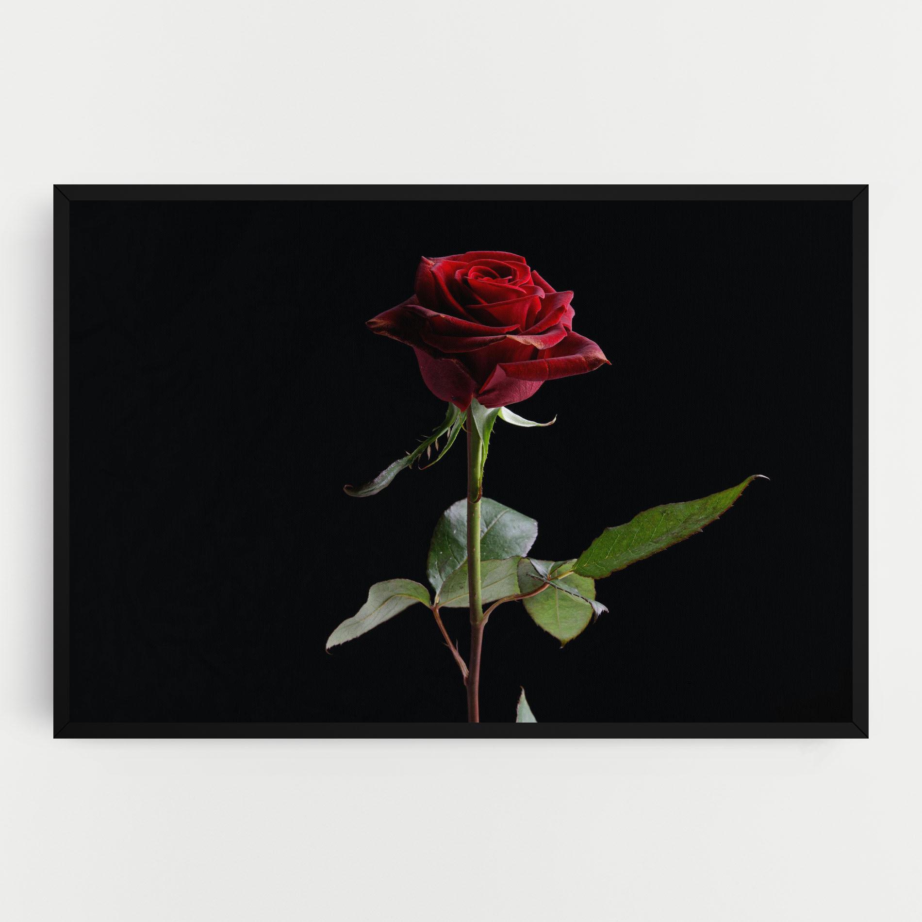 Картина на платно Beautiful Red Rose mockup 0