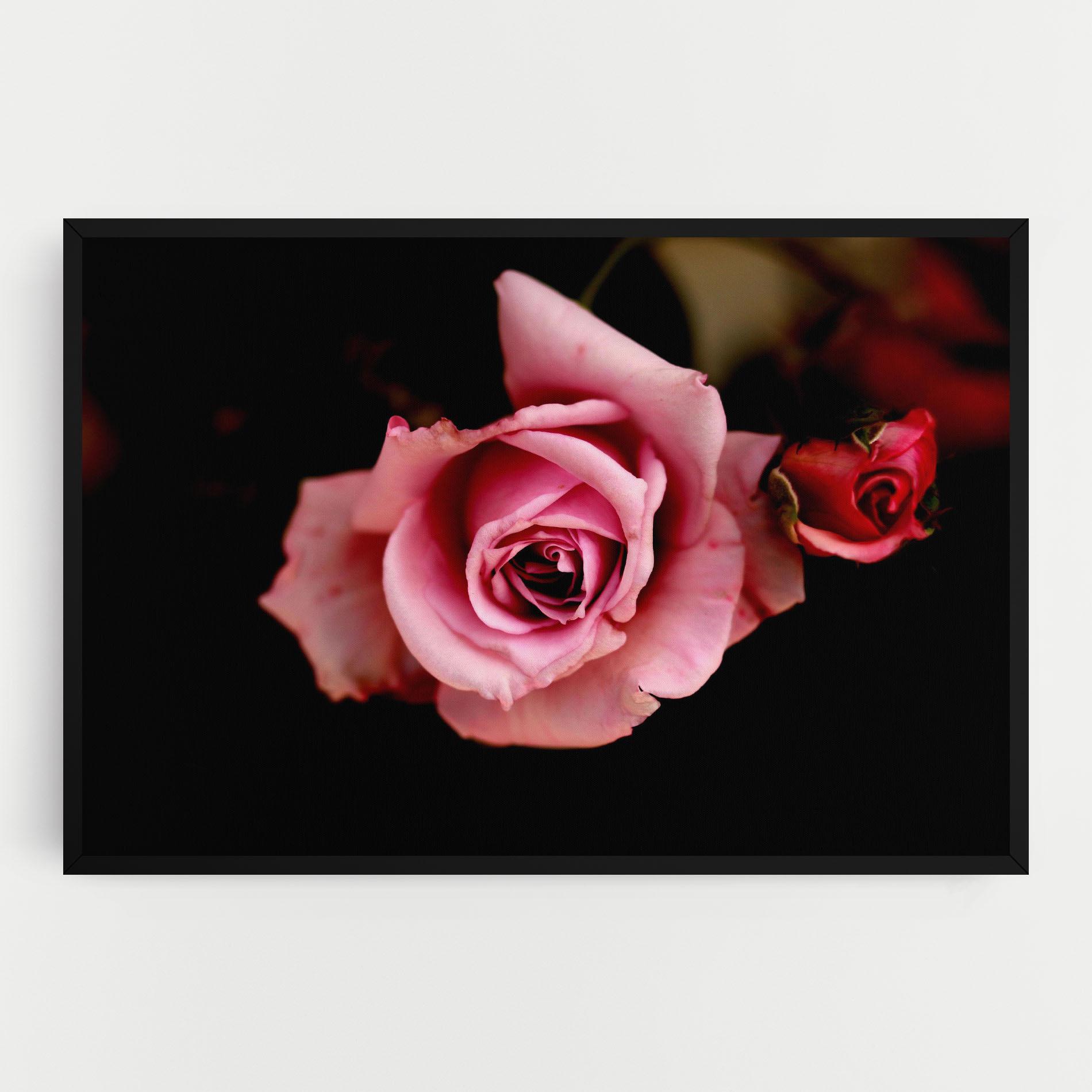 Картина на платно Opened Pink Rose mockup 0