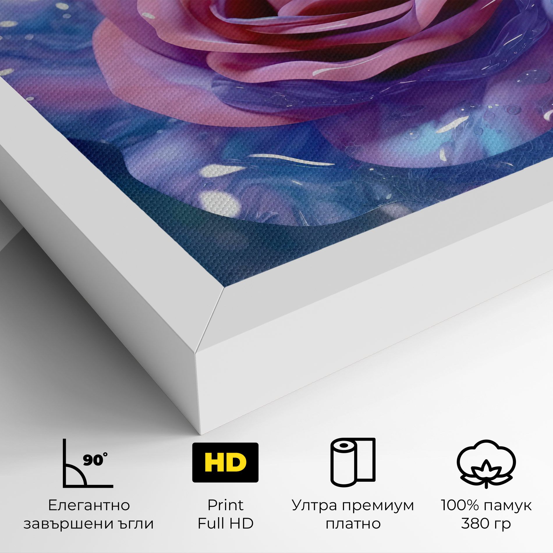 Beautiful Blue Pink Rose mockup 4