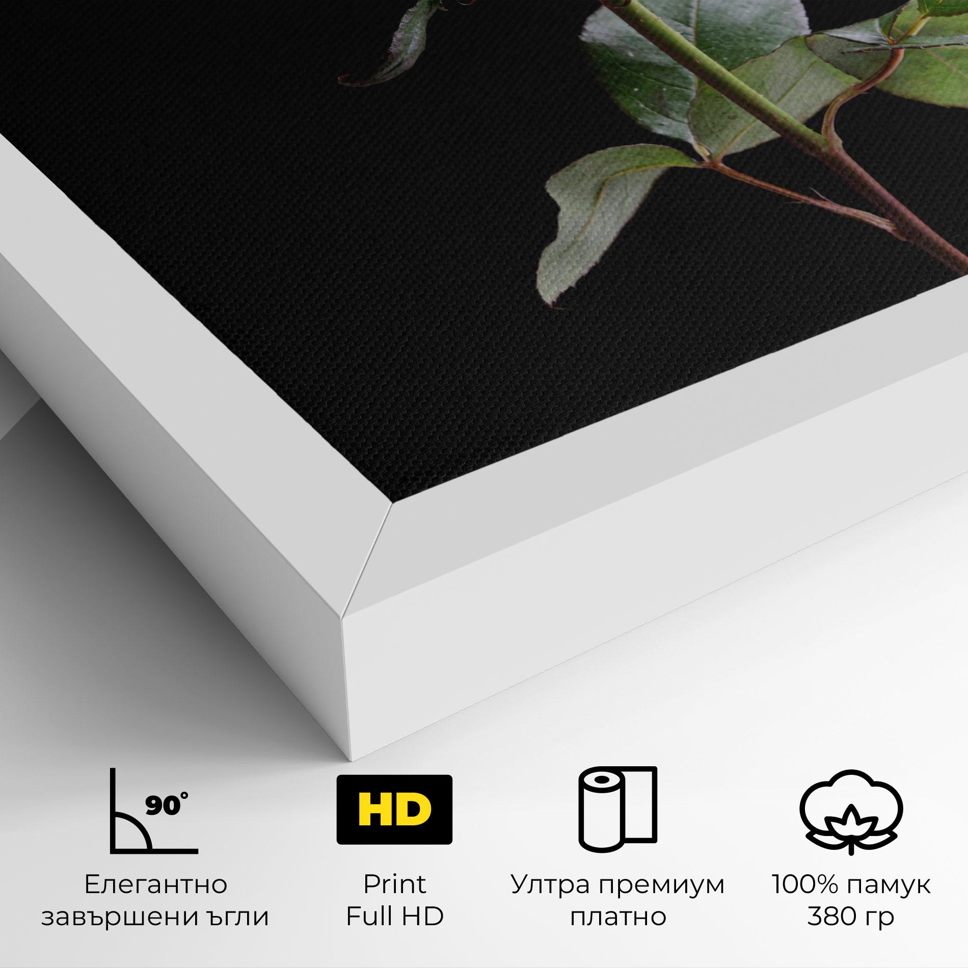 Картина на платно Beautiful Red Rose mockup 4
