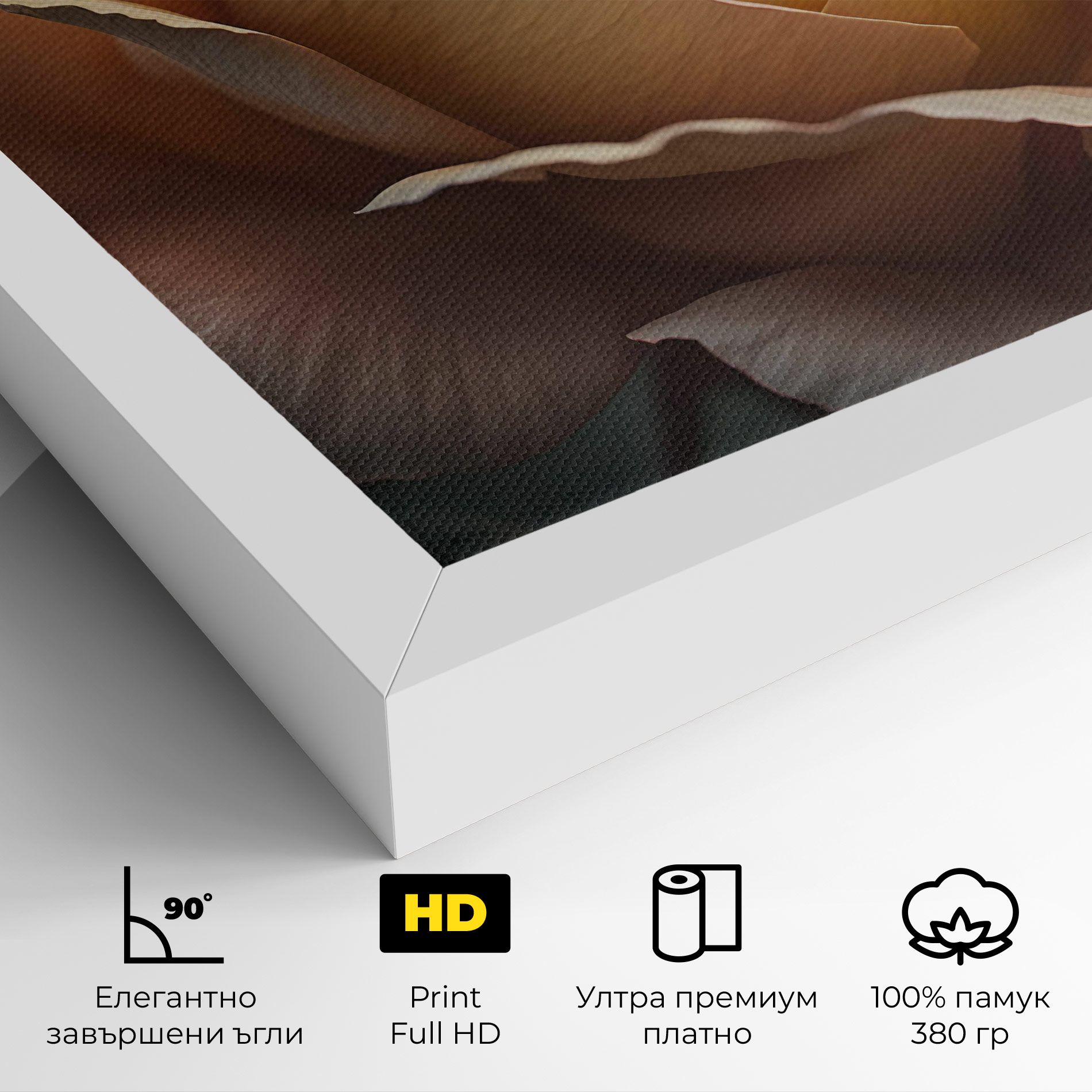 Light Orange Rose Close Up mockup 4