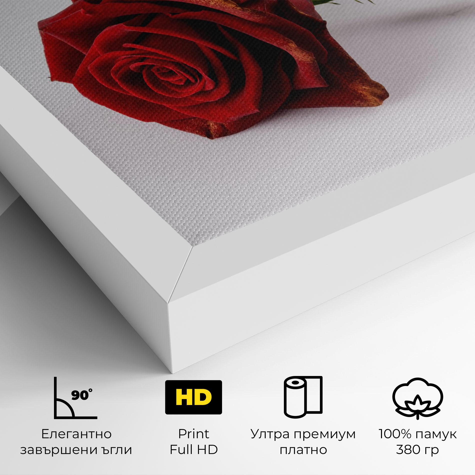 Картина на платно Lonely Rose mockup 4