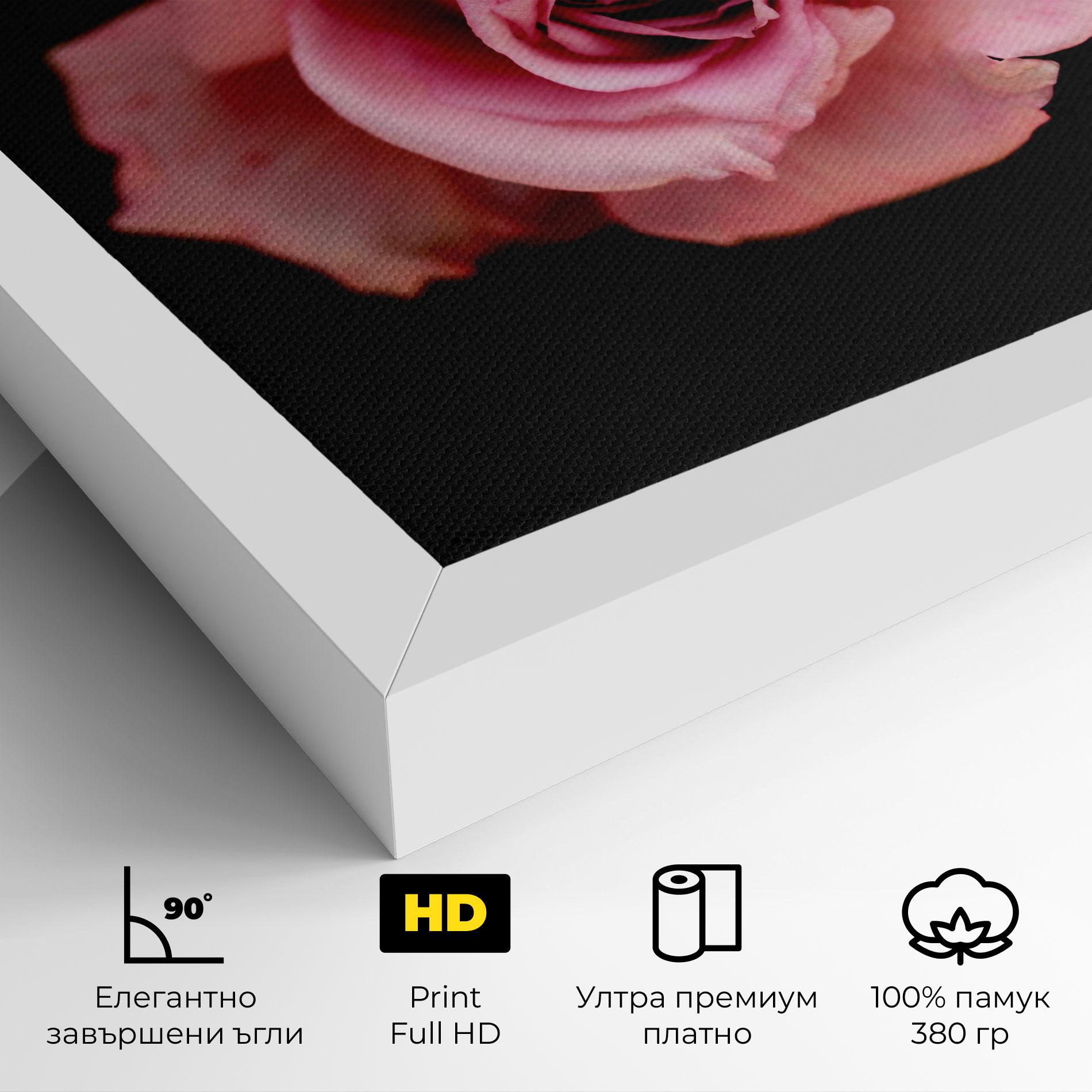 Картина на платно Opened Pink Rose mockup 4
