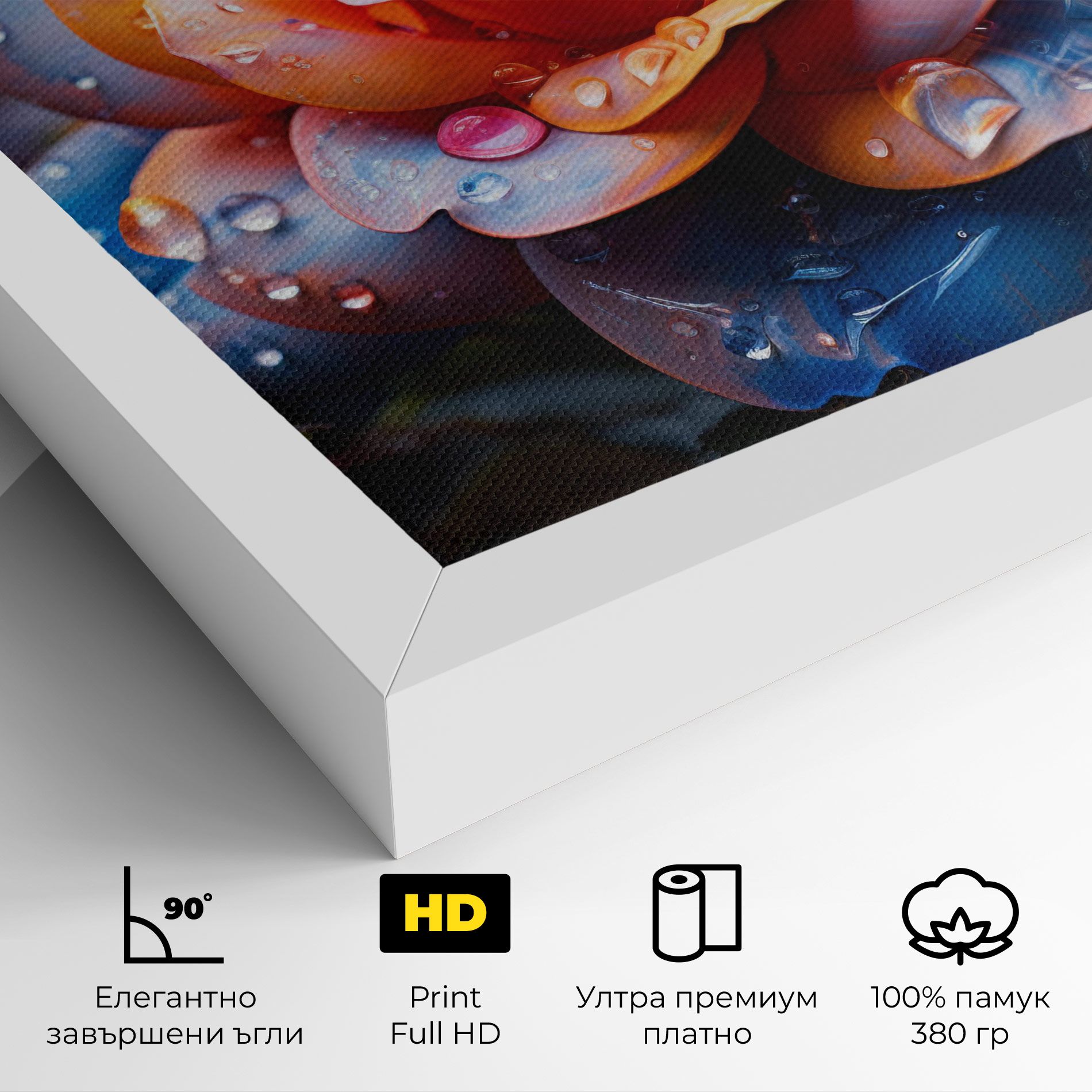 Orange Blue Rose mockup 4