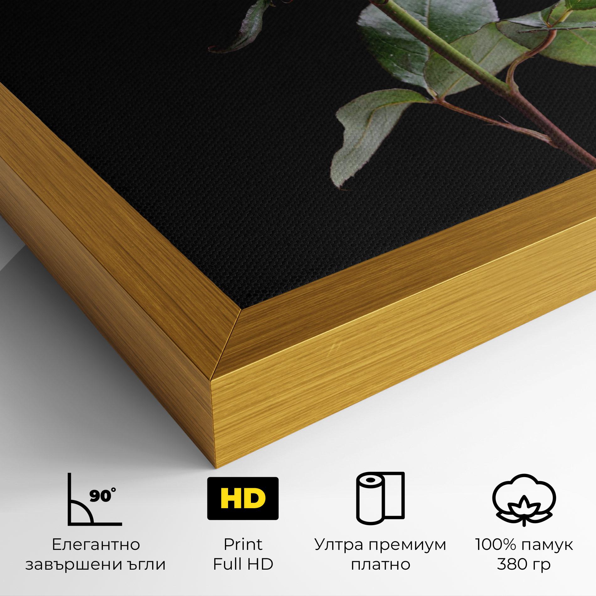 Картина на платно Beautiful Red Rose mockup 4