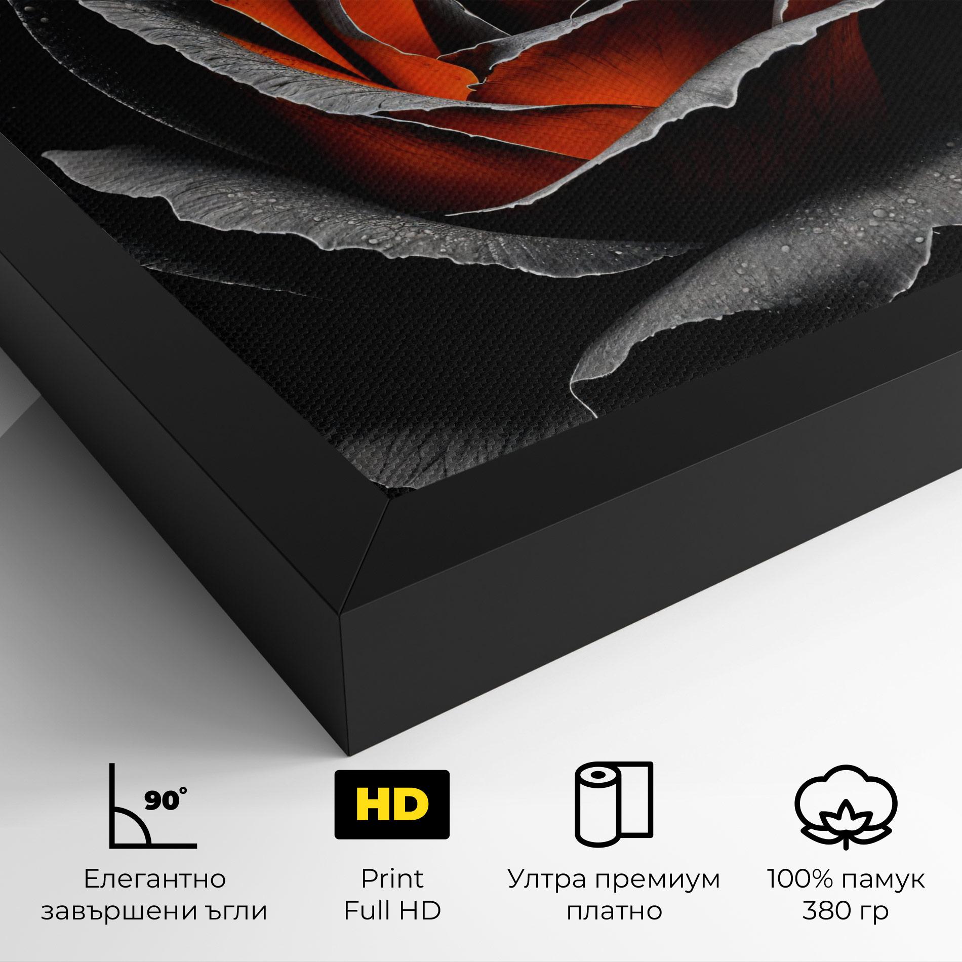 Картина на платно Grey Orange Rose mockup 4