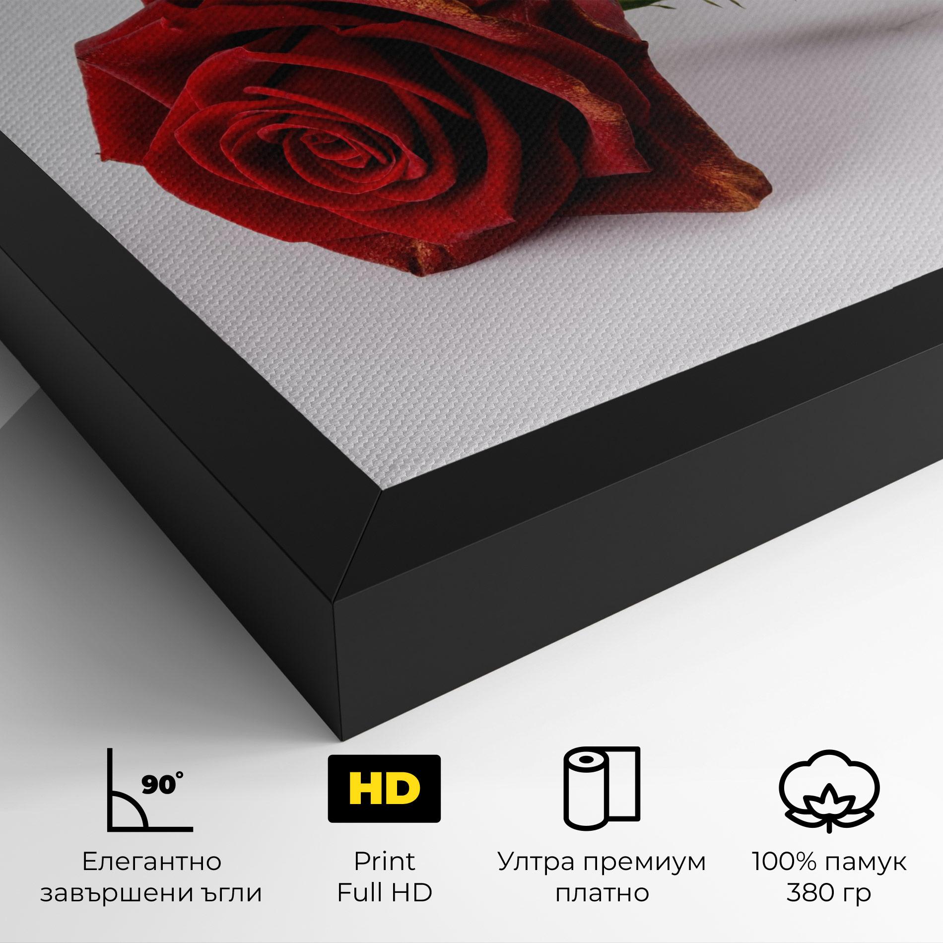 Картина на платно Lonely Rose mockup 4