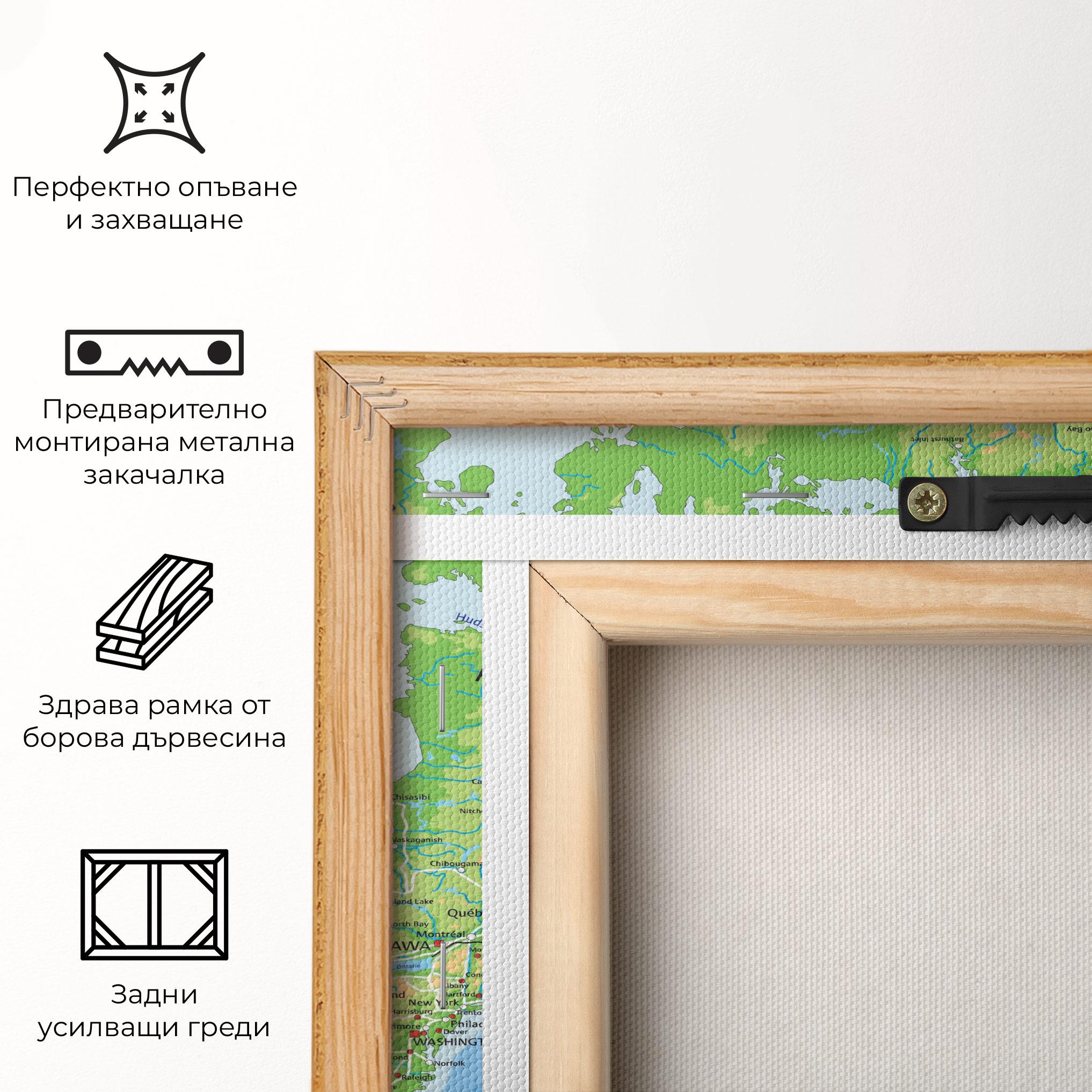 Картина на платно Canada mockup 5