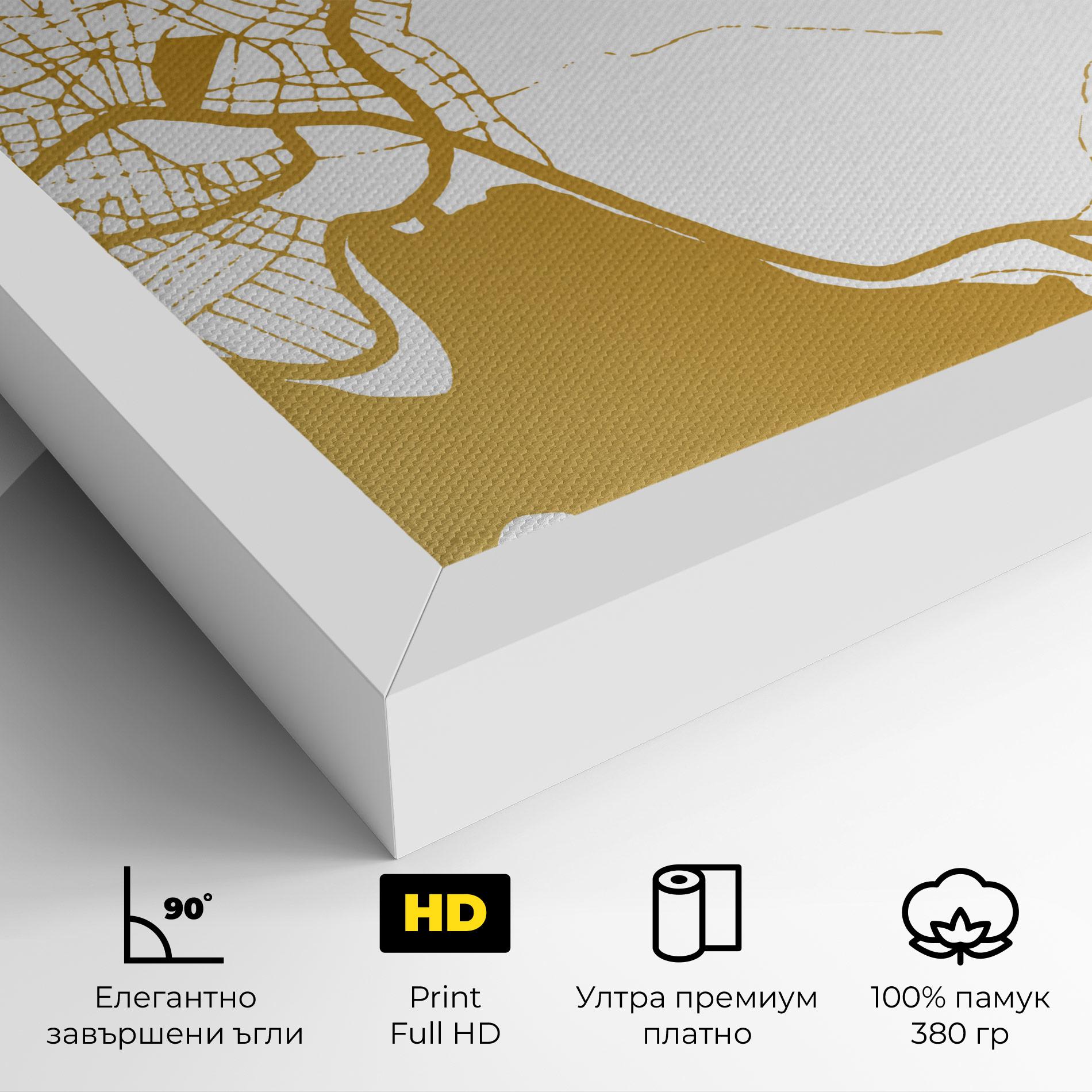 Картина на платно Chalcis Gold Map mockup 4