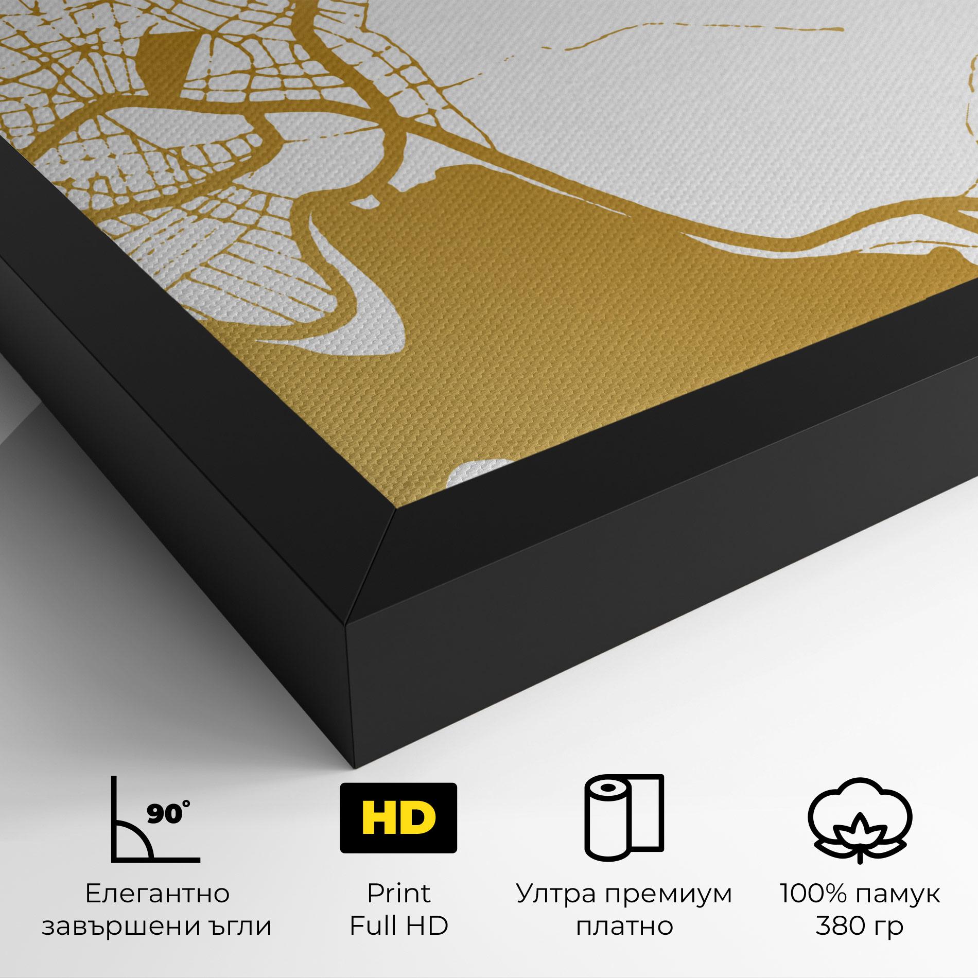 Картина на платно Chalcis Gold Map mockup 4