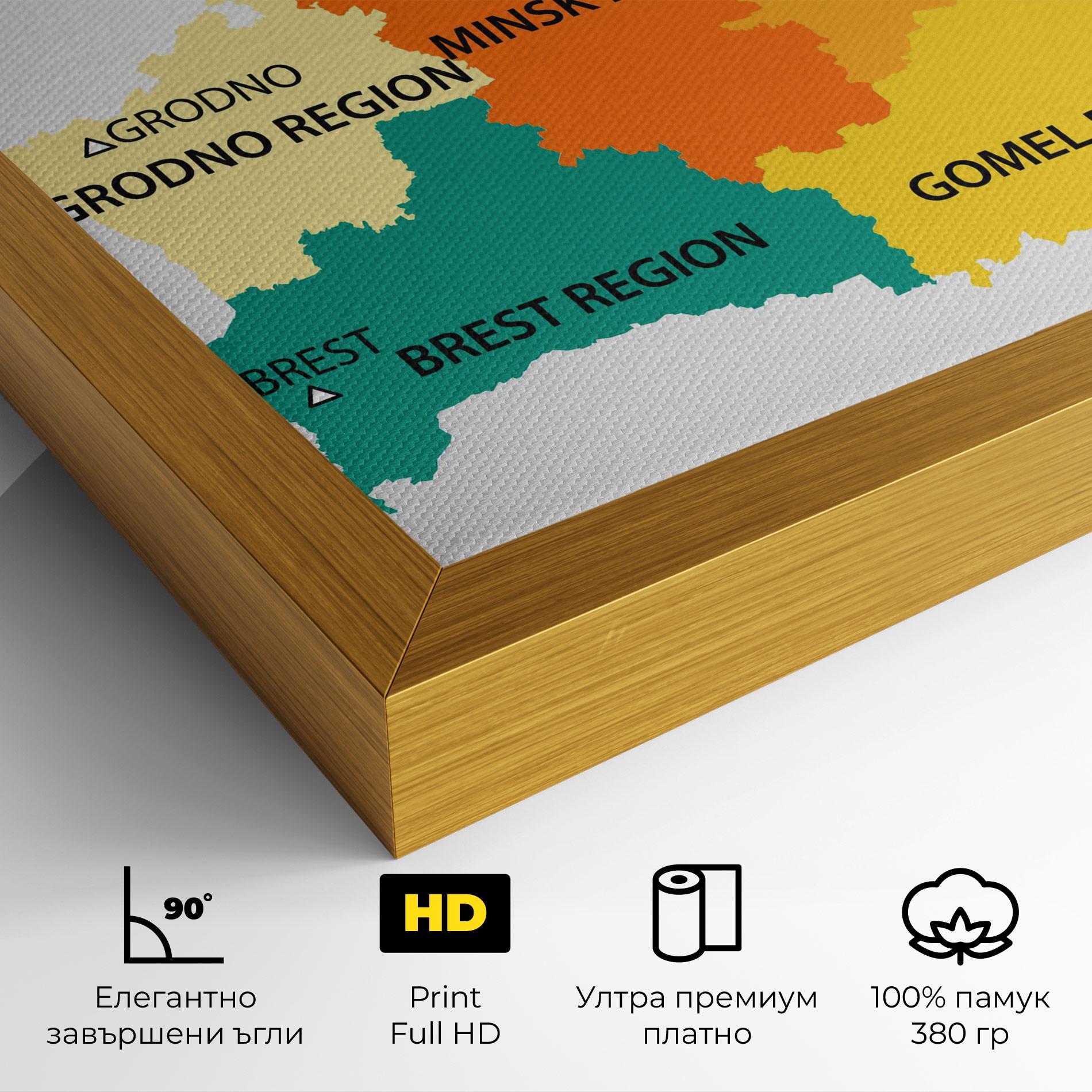 Картина на платно Belarus Color Map mockup 4