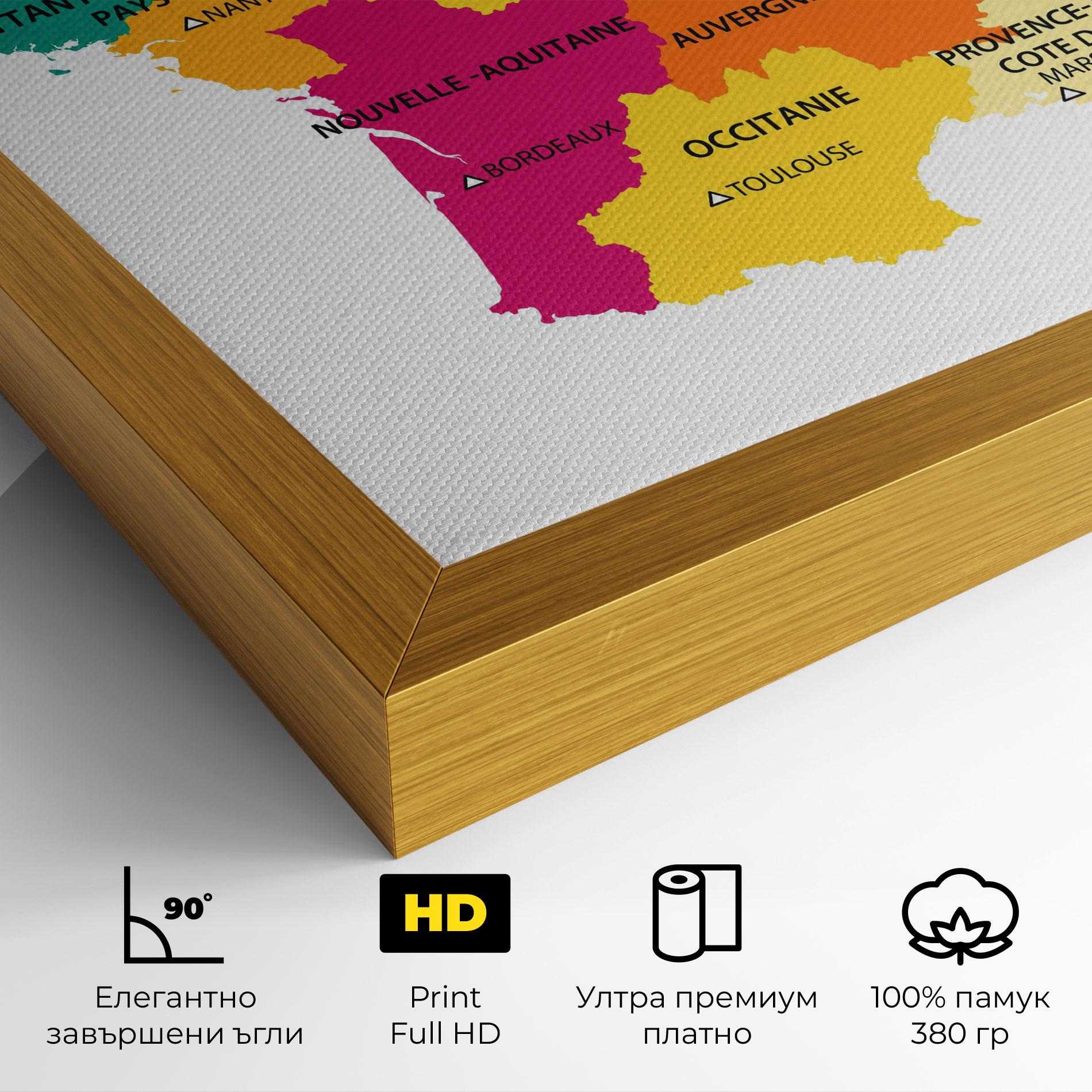 Картина на платно France Color Map mockup 4