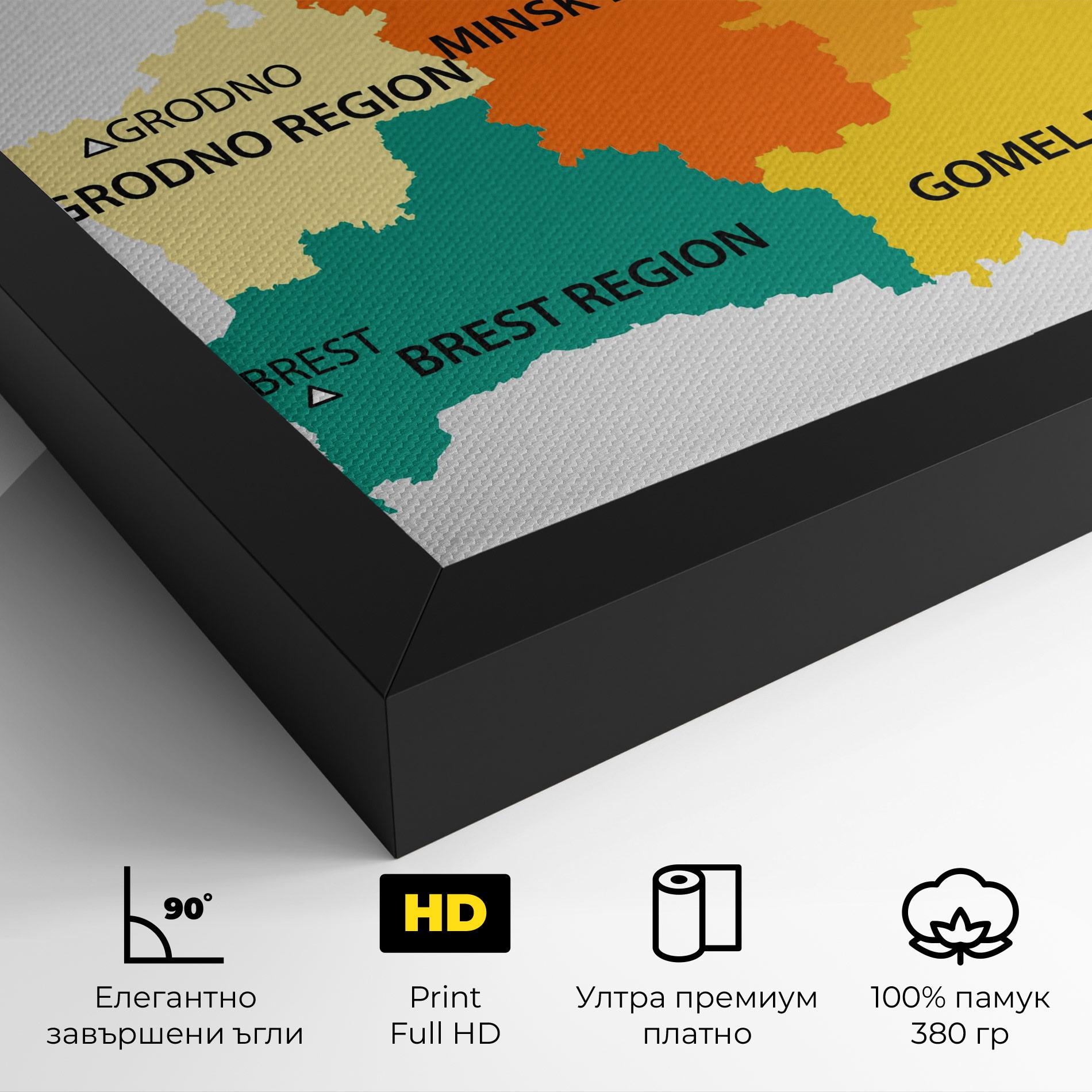 Картина на платно Belarus Color Map mockup 4