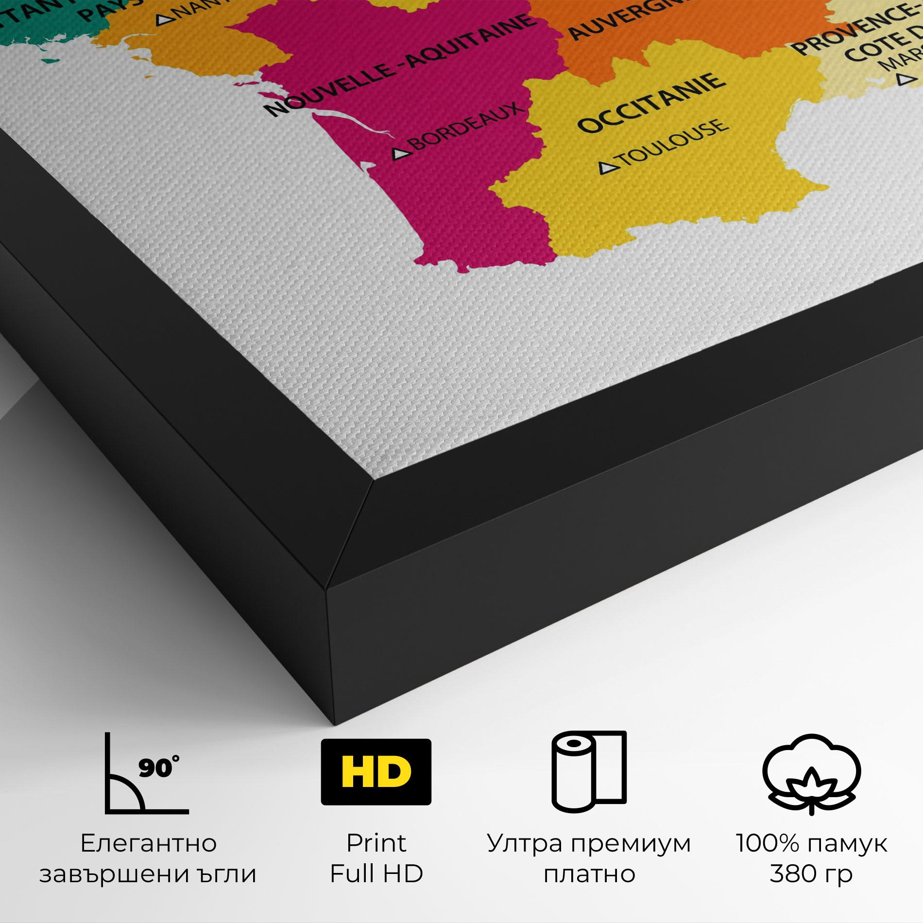 Картина на платно France Color Map mockup 4