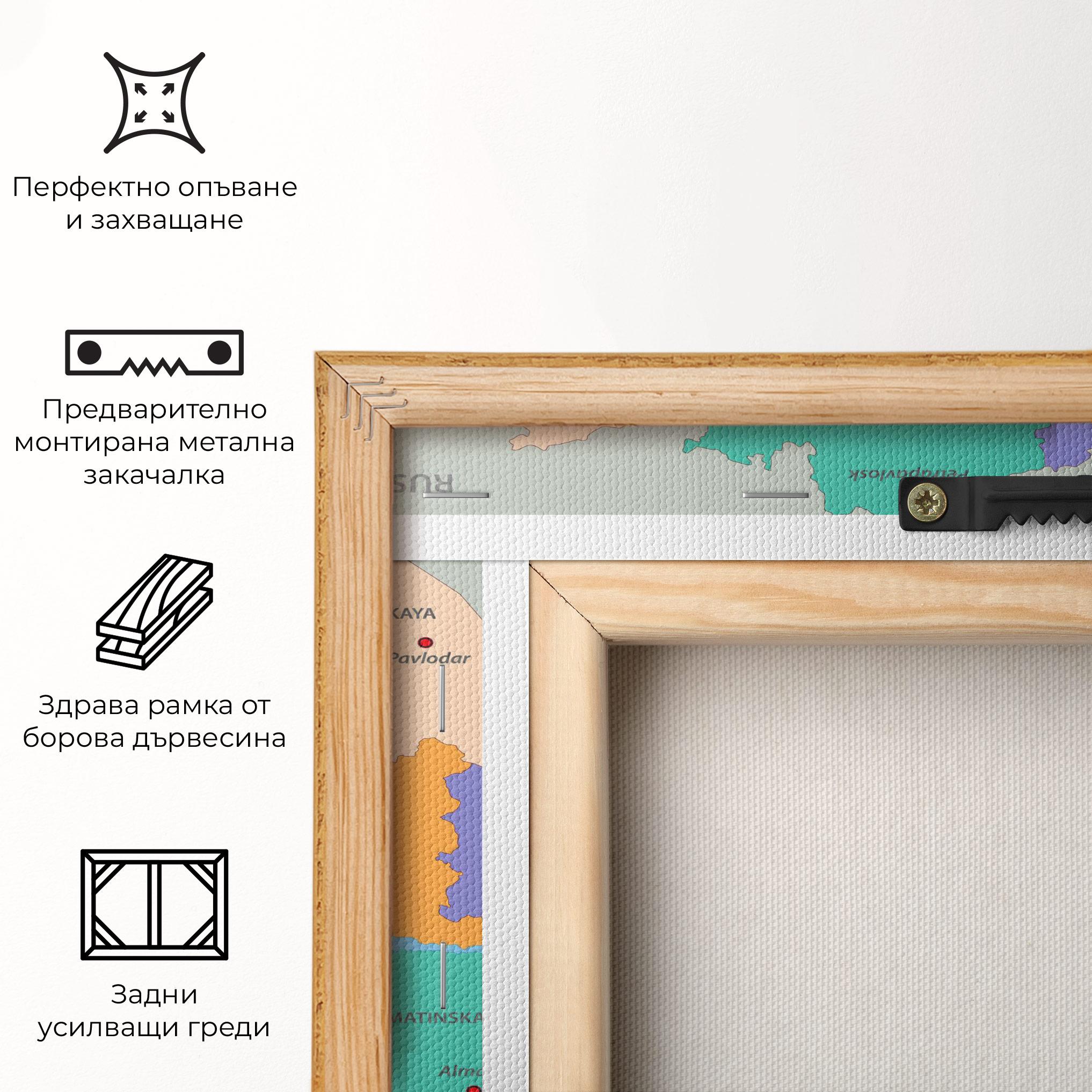 Картина на платно Kazakhstan Color Map mockup 5