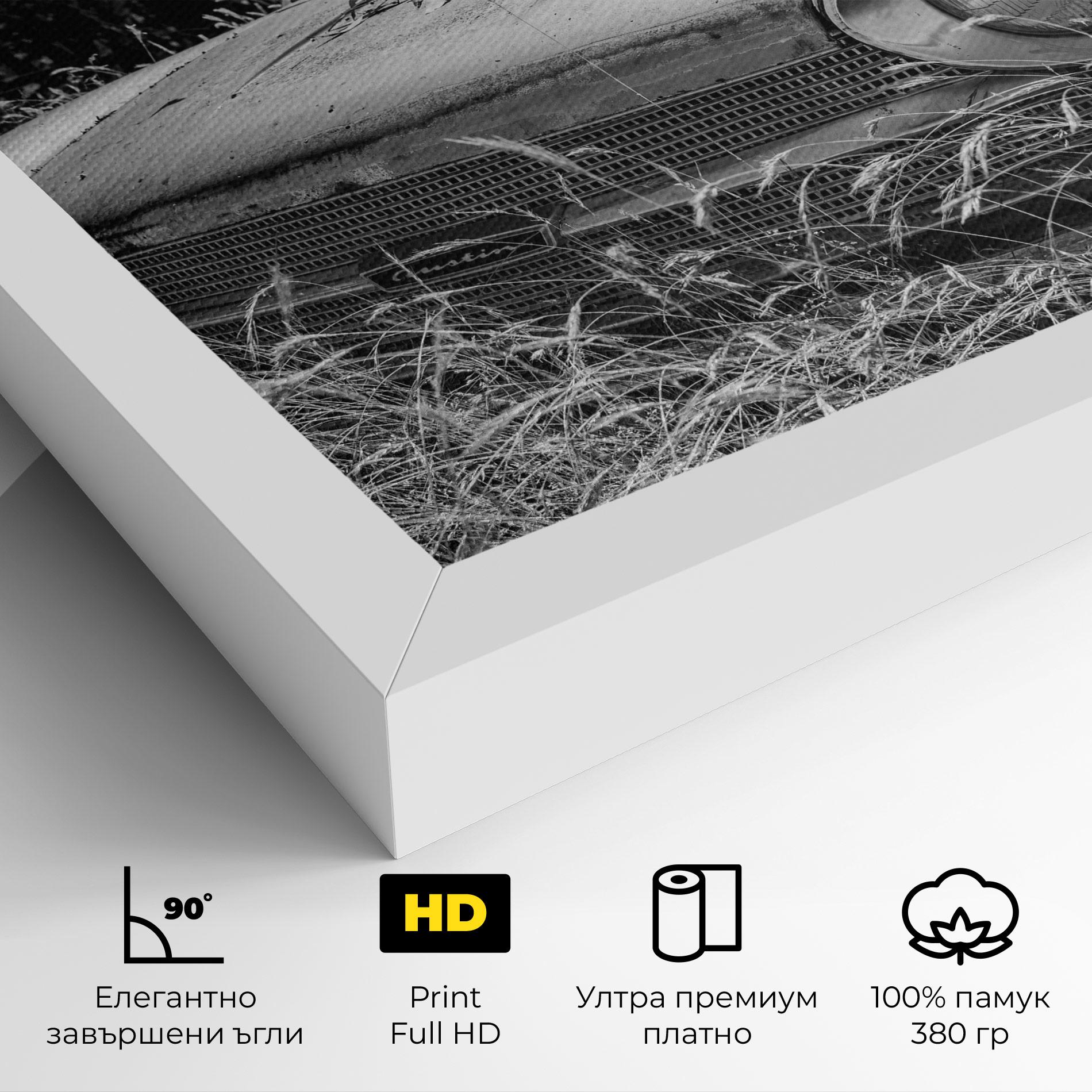 Картина на платно Old Field Car mockup 4