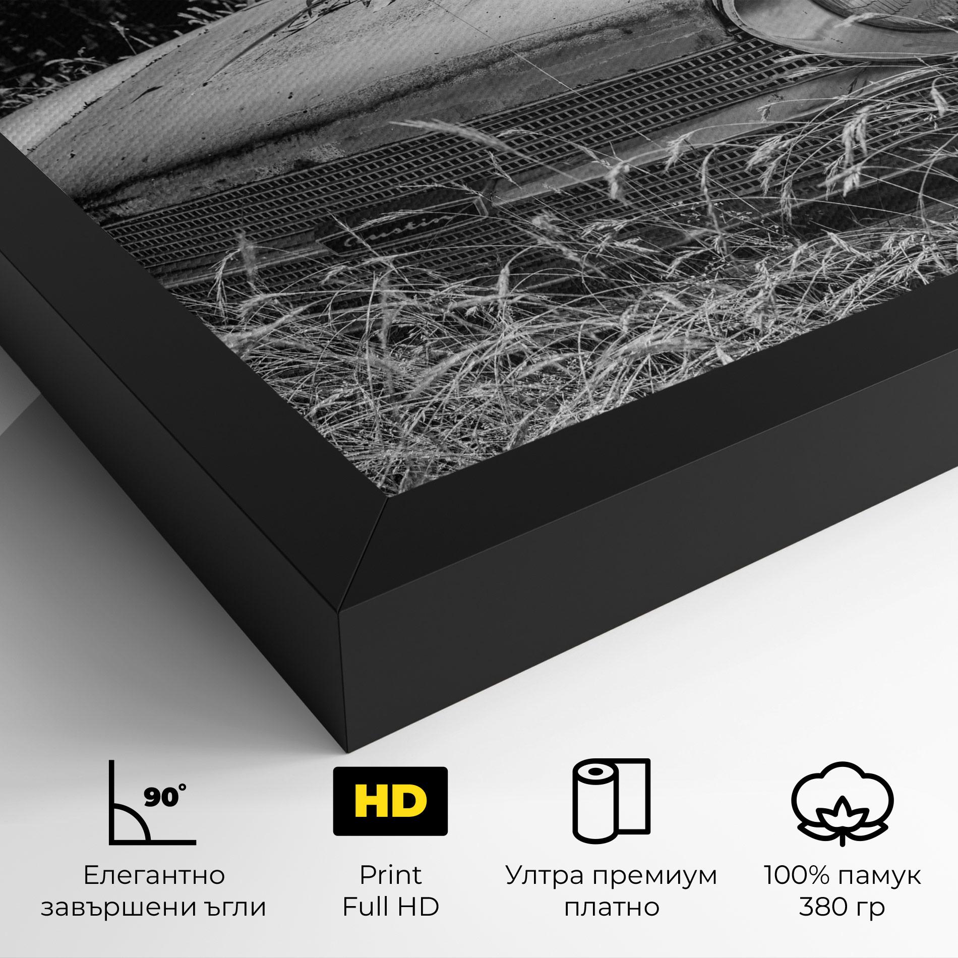 Картина на платно Old Field Car mockup 4