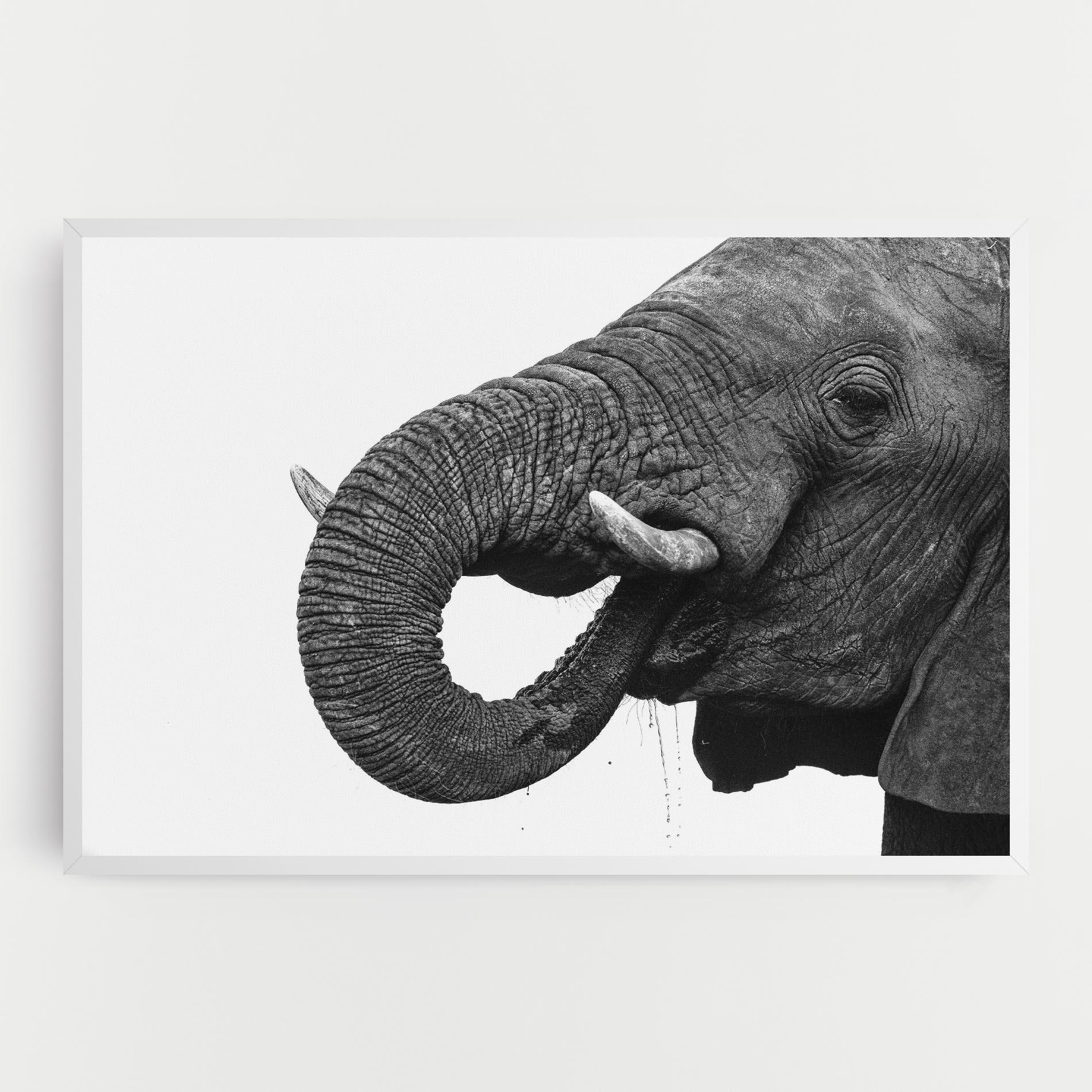 Картина на платно Elephant Drinking mockup 0