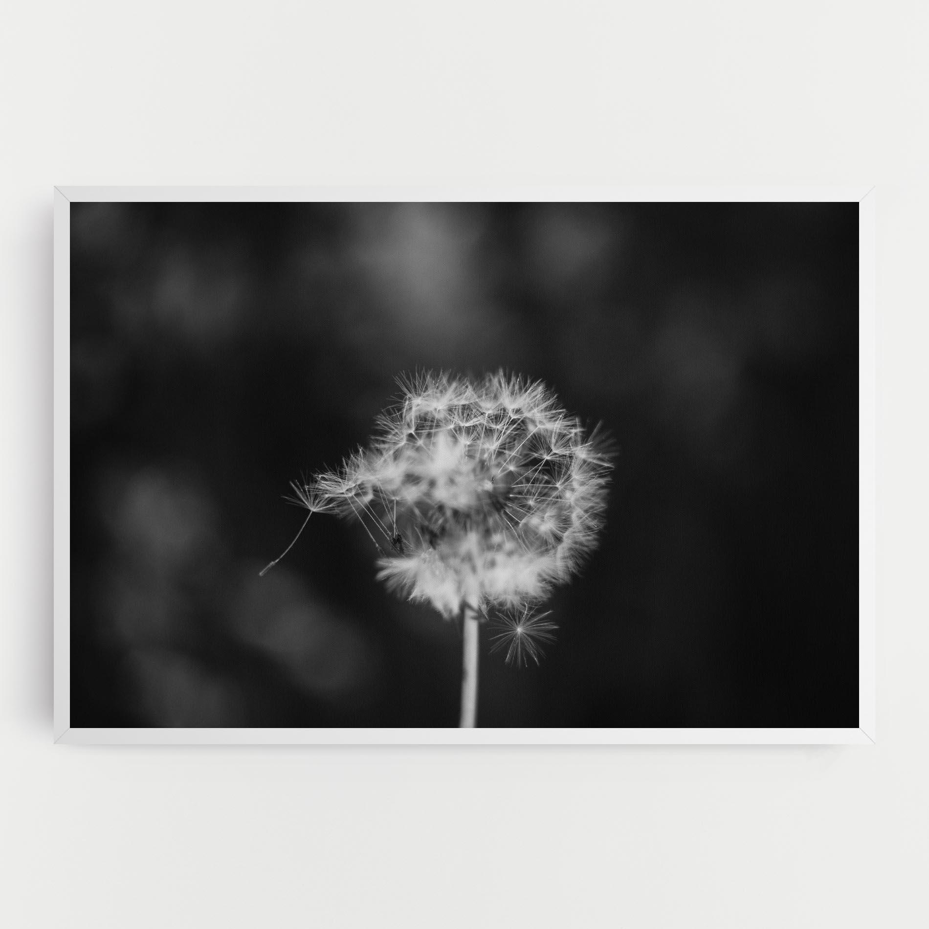 Картина на платно Grey Dandelion mockup 0