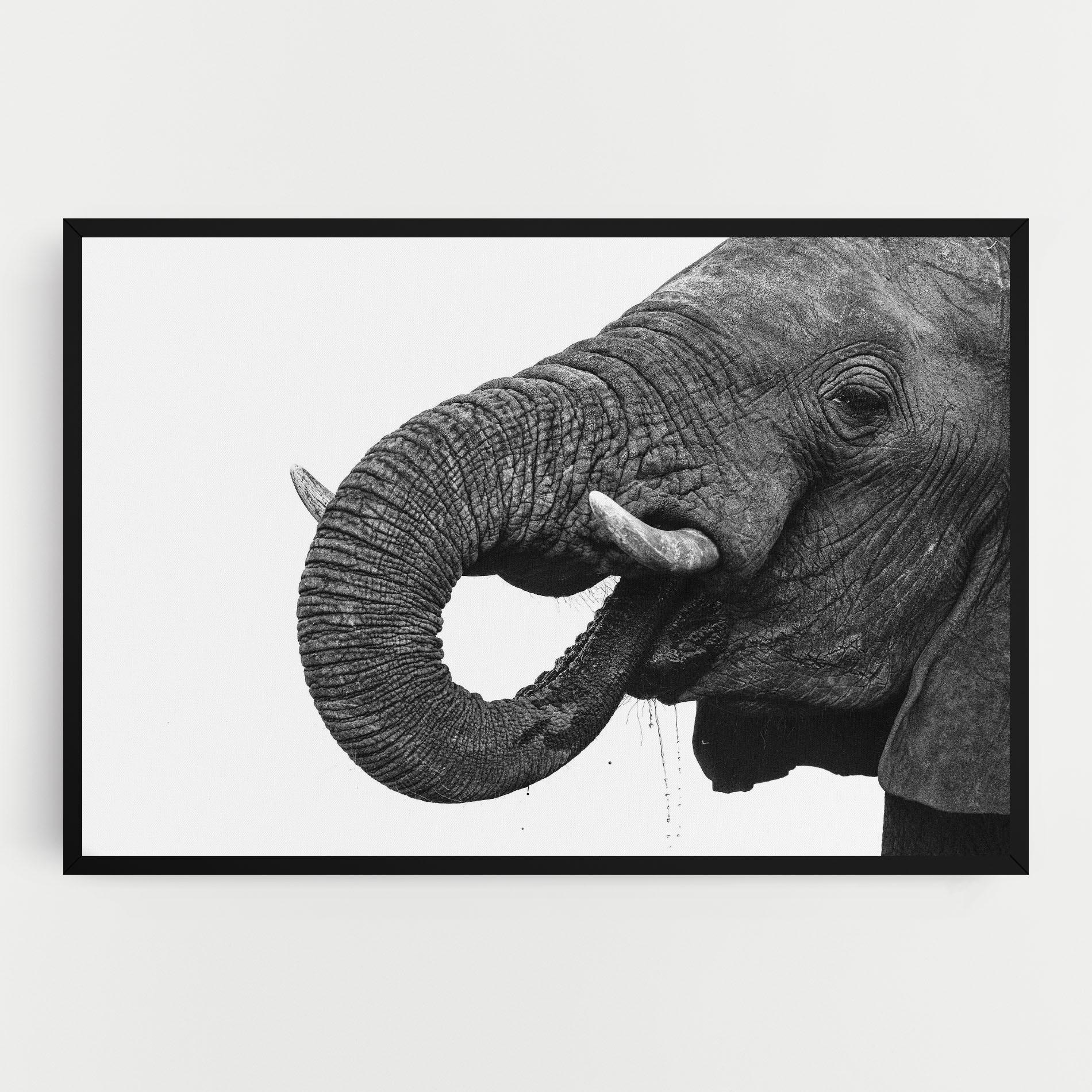 Картина на платно Elephant Drinking mockup 0