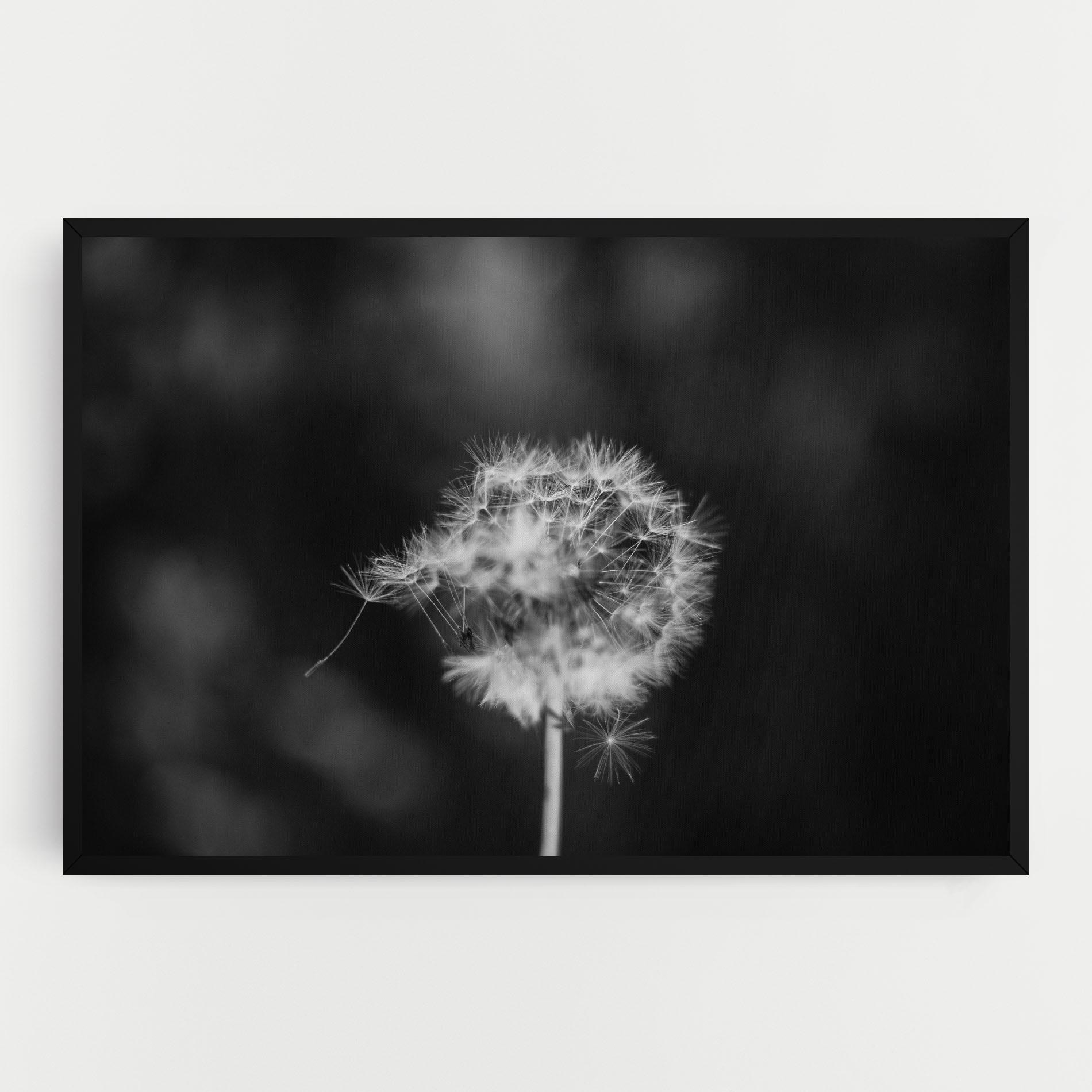 Картина на платно Grey Dandelion mockup 0