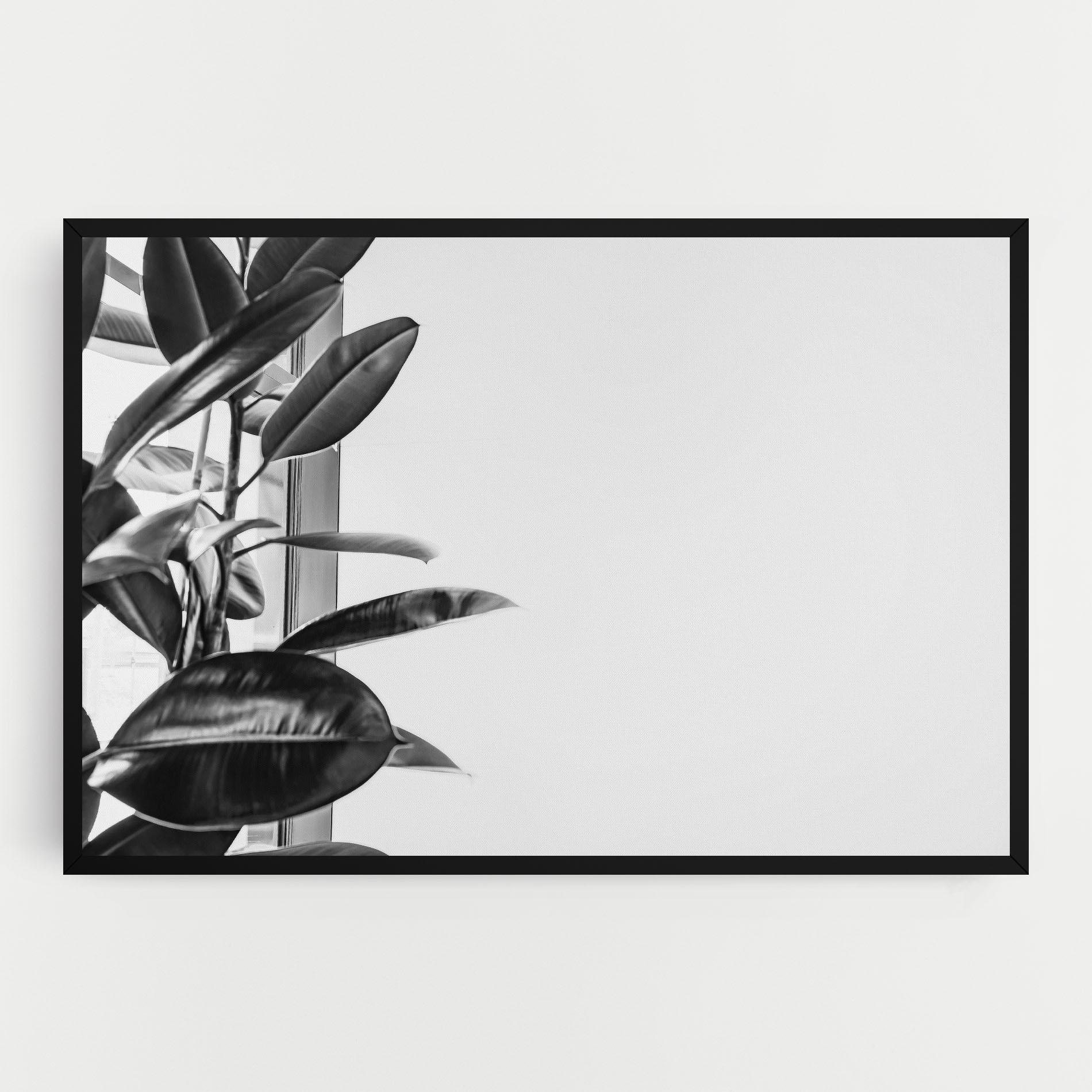 Картина на платно Grey Plant mockup 0