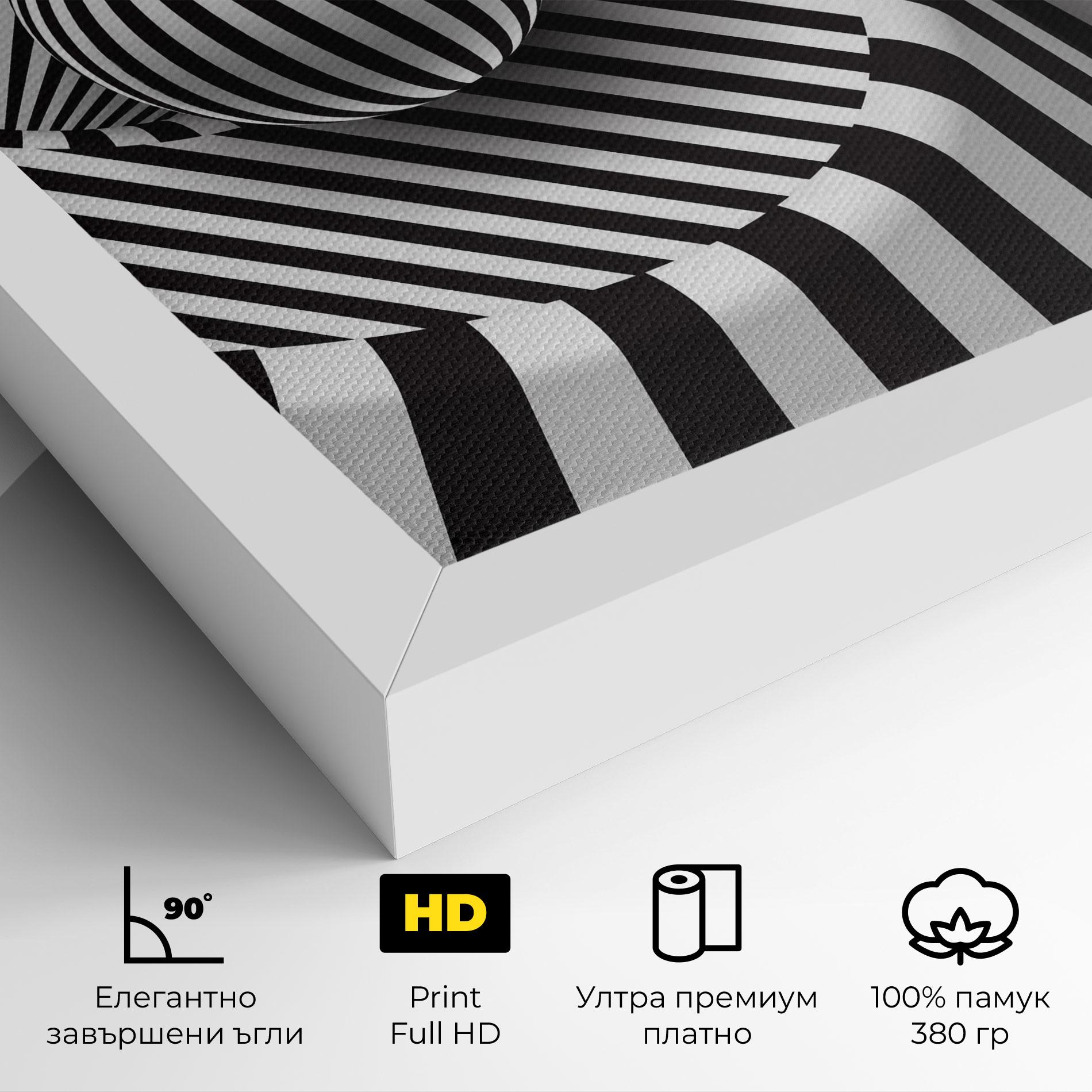 Картина на платно 3d Ball Zebra mockup 4