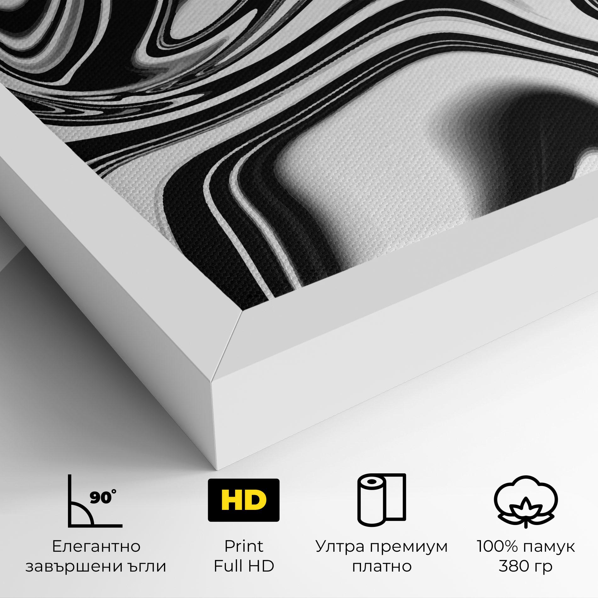 Картина на платно Black White Liquid mockup 4