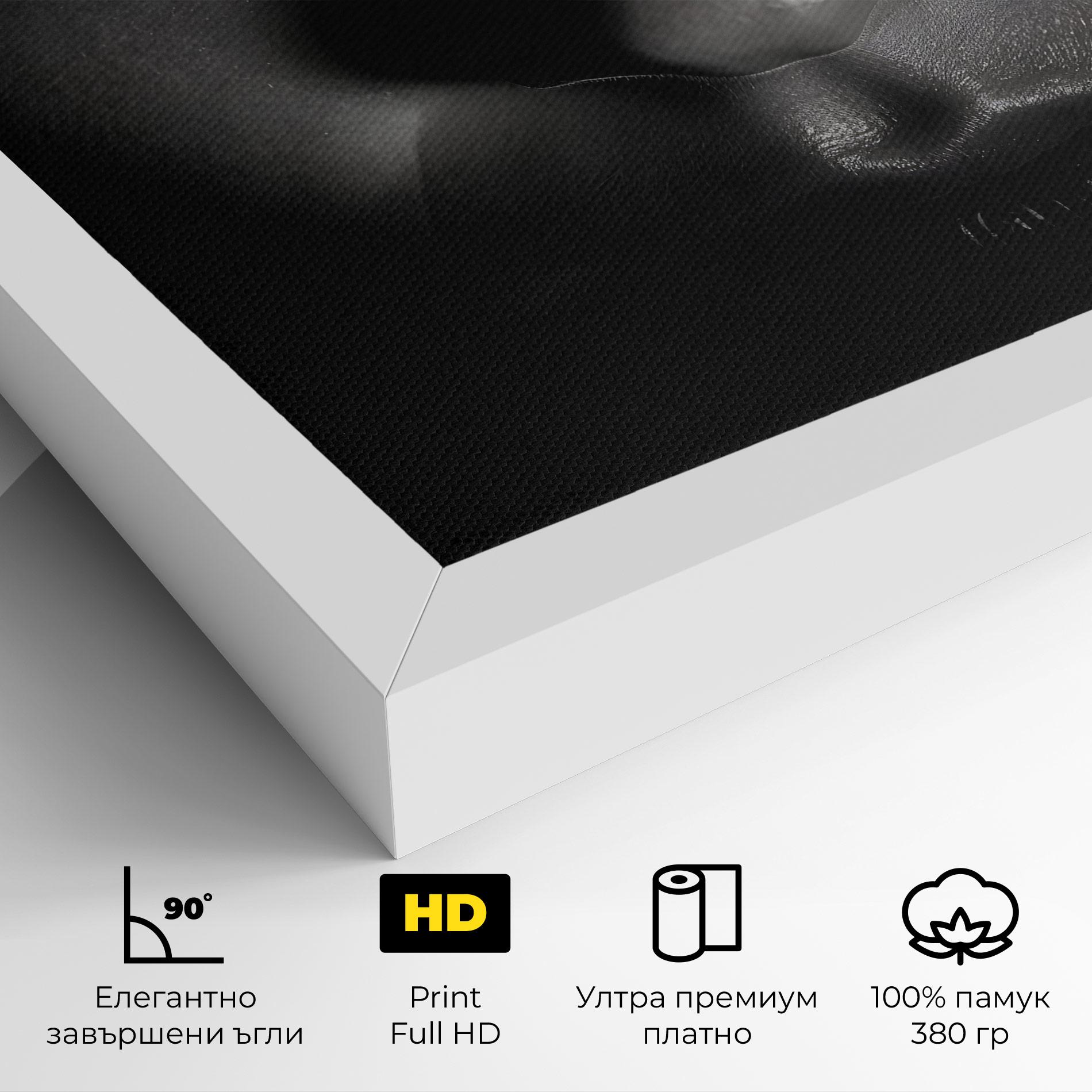 Картина на платно Closeup Portrait mockup 4